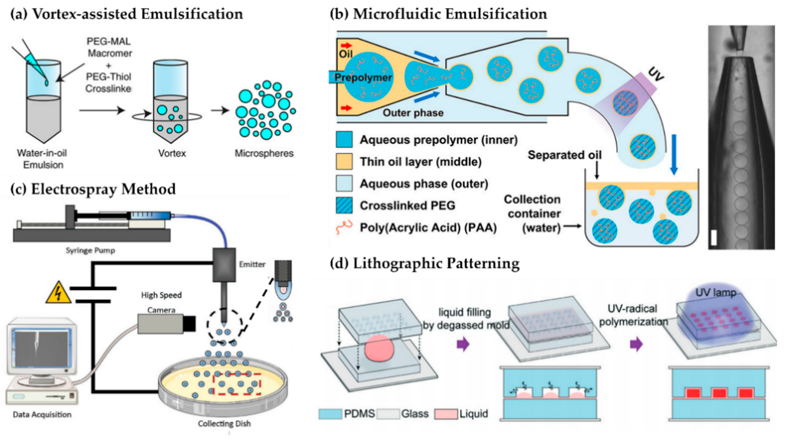 Applsci 15 11599 g003 Applsci 15 11599 g003