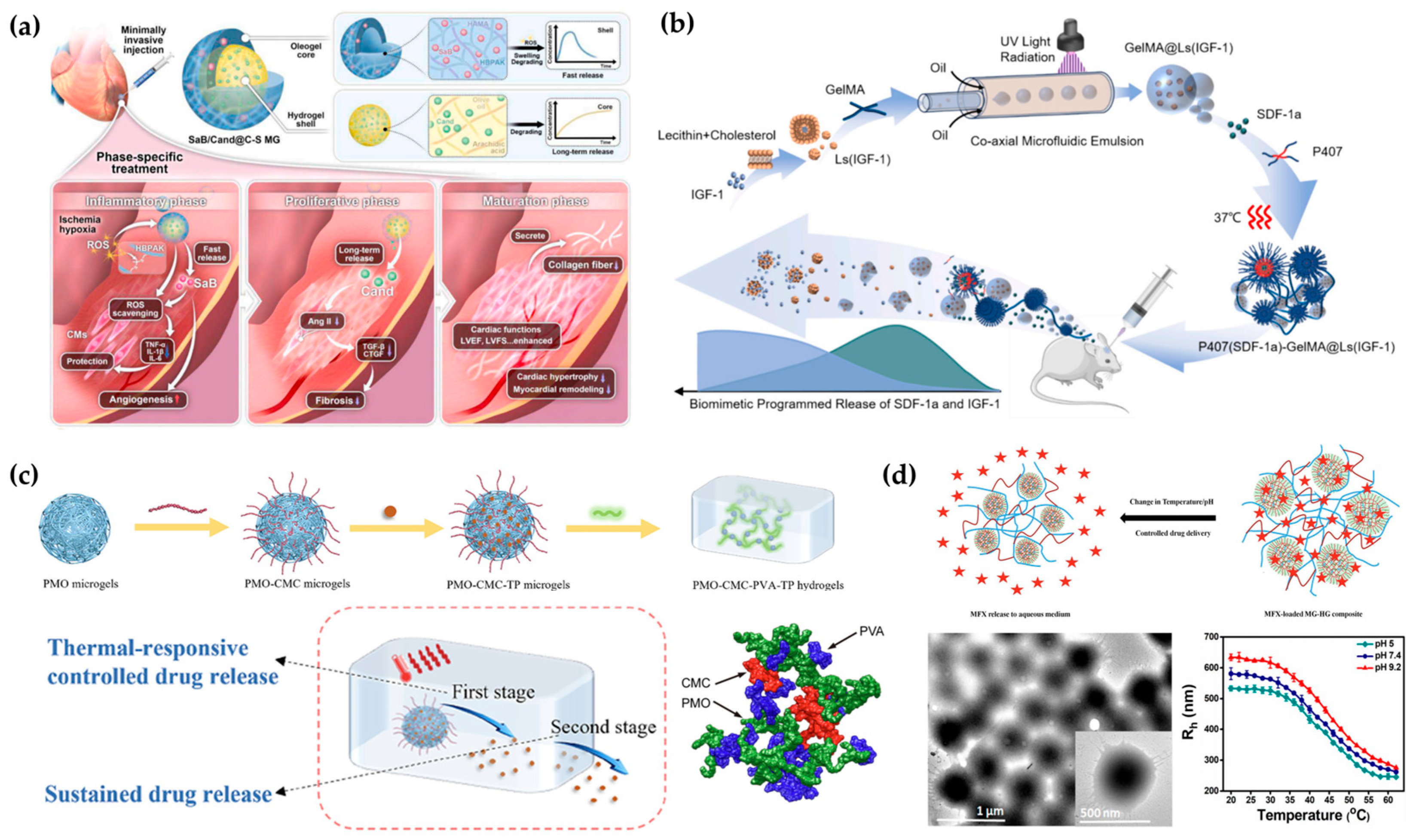 Applsci 15 11599 g005 Applsci 15 11599 g005