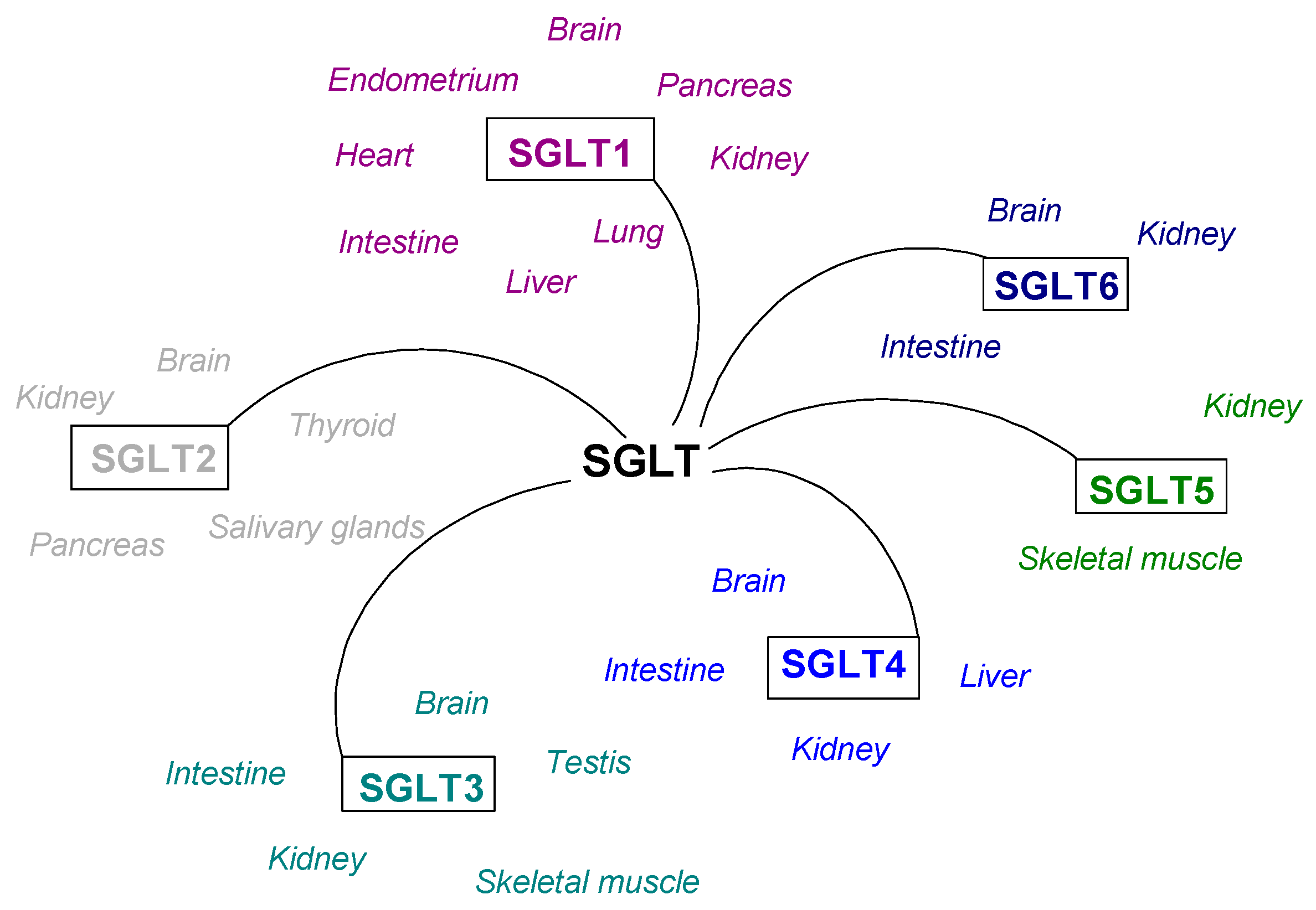 Applsci 15 11603 g001 Applsci 15 11603 g001