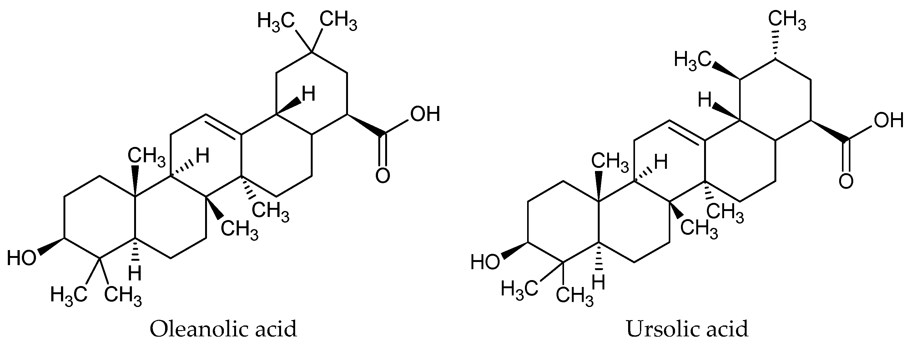 Applsci 15 11603 g010 Applsci 15 11603 g010