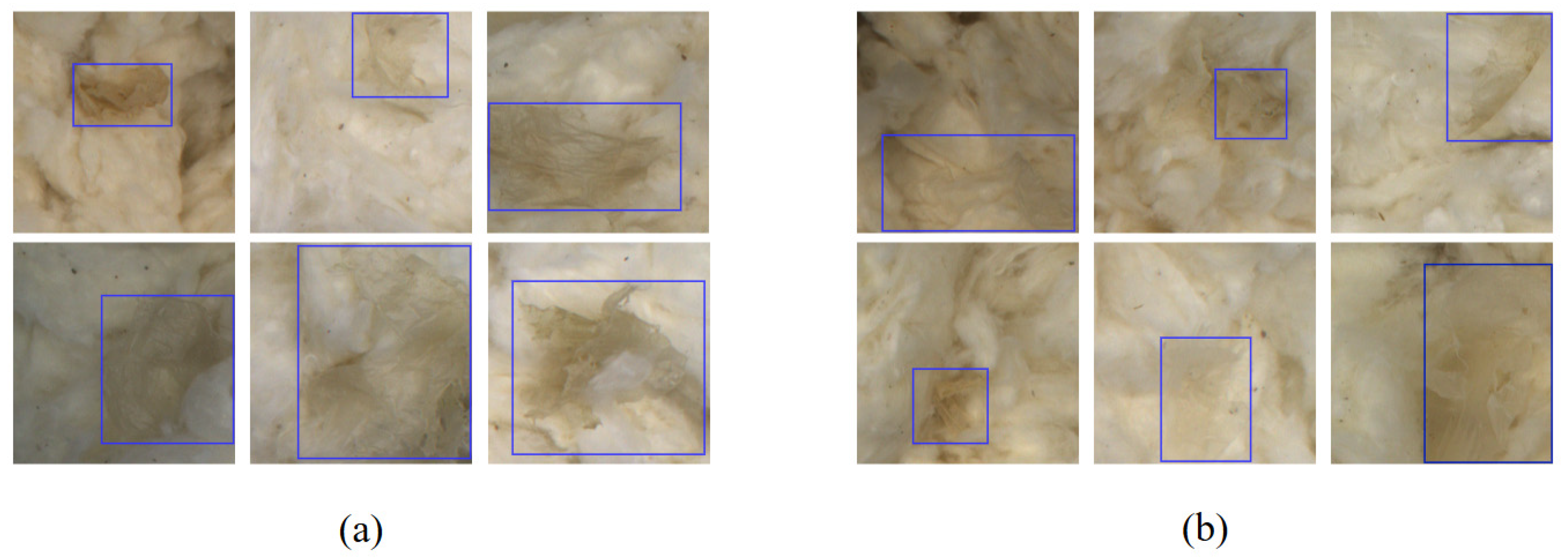 Applsci 15 11604 g002 Applsci 15 11604 g002