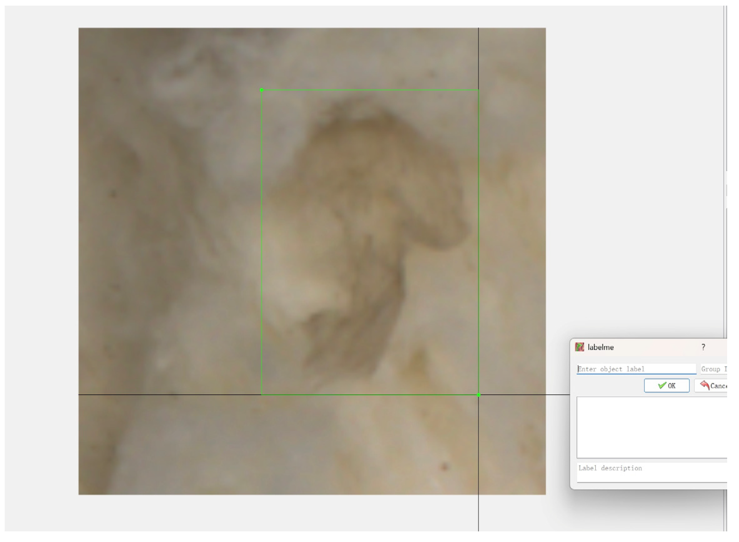 Applsci 15 11604 g005 Applsci 15 11604 g005