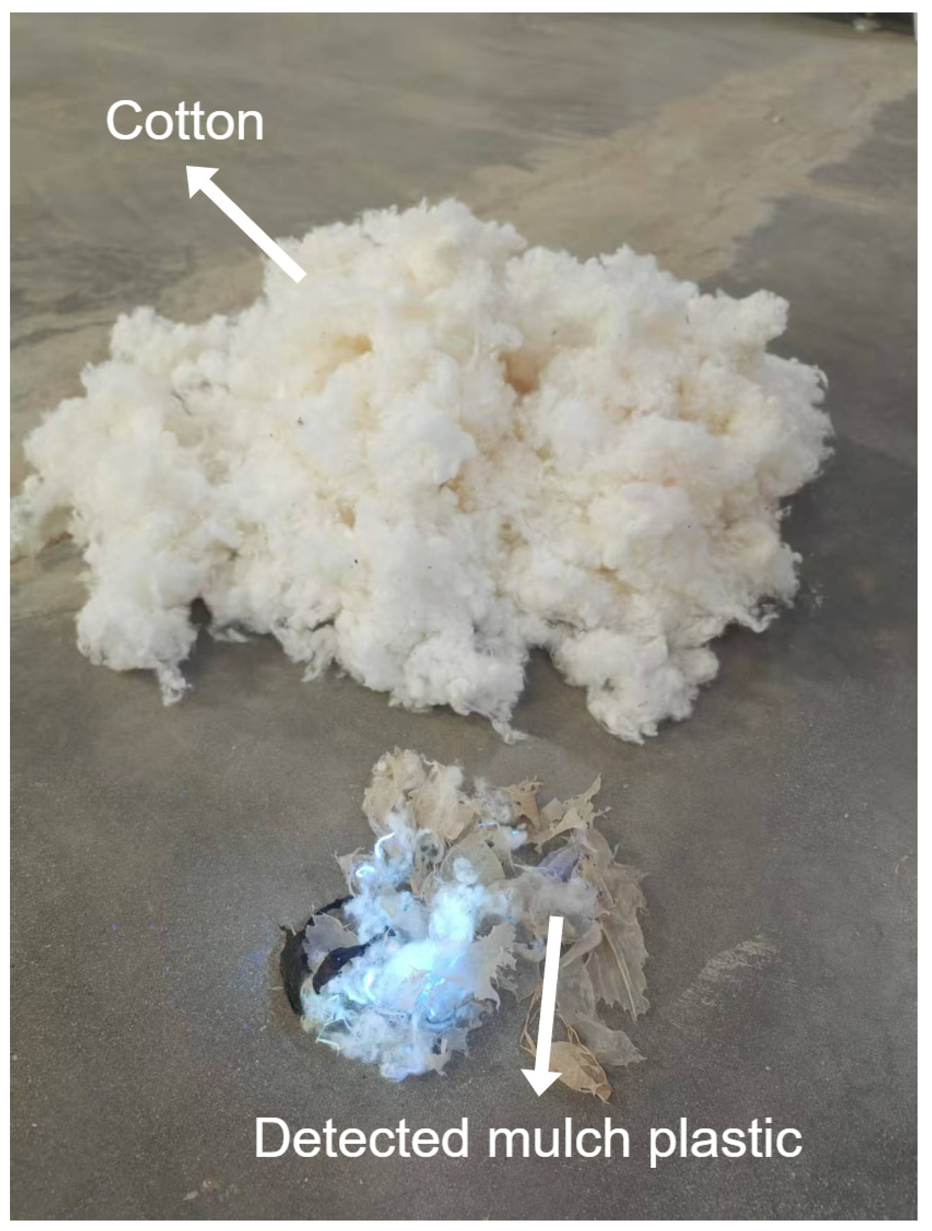 Applsci 15 11604 g018 Applsci 15 11604 g018