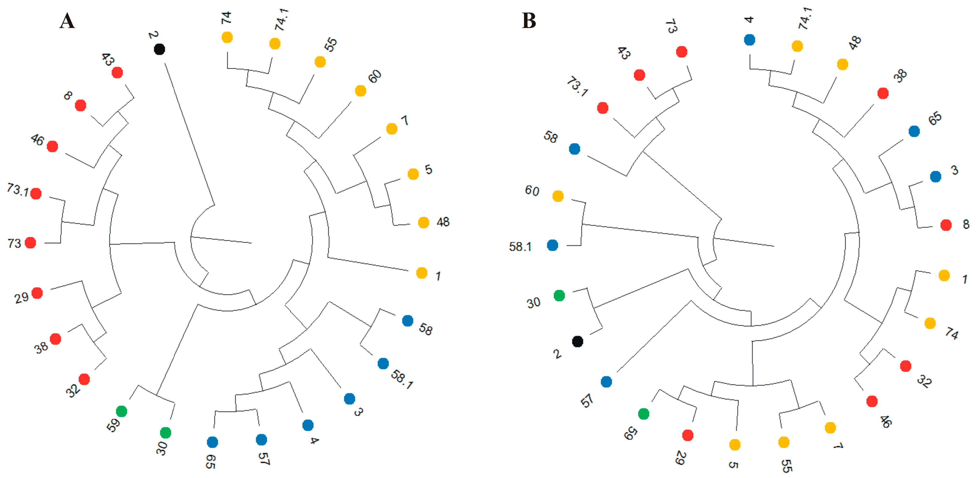 Applsci 15 11613 g002 Applsci 15 11613 g002