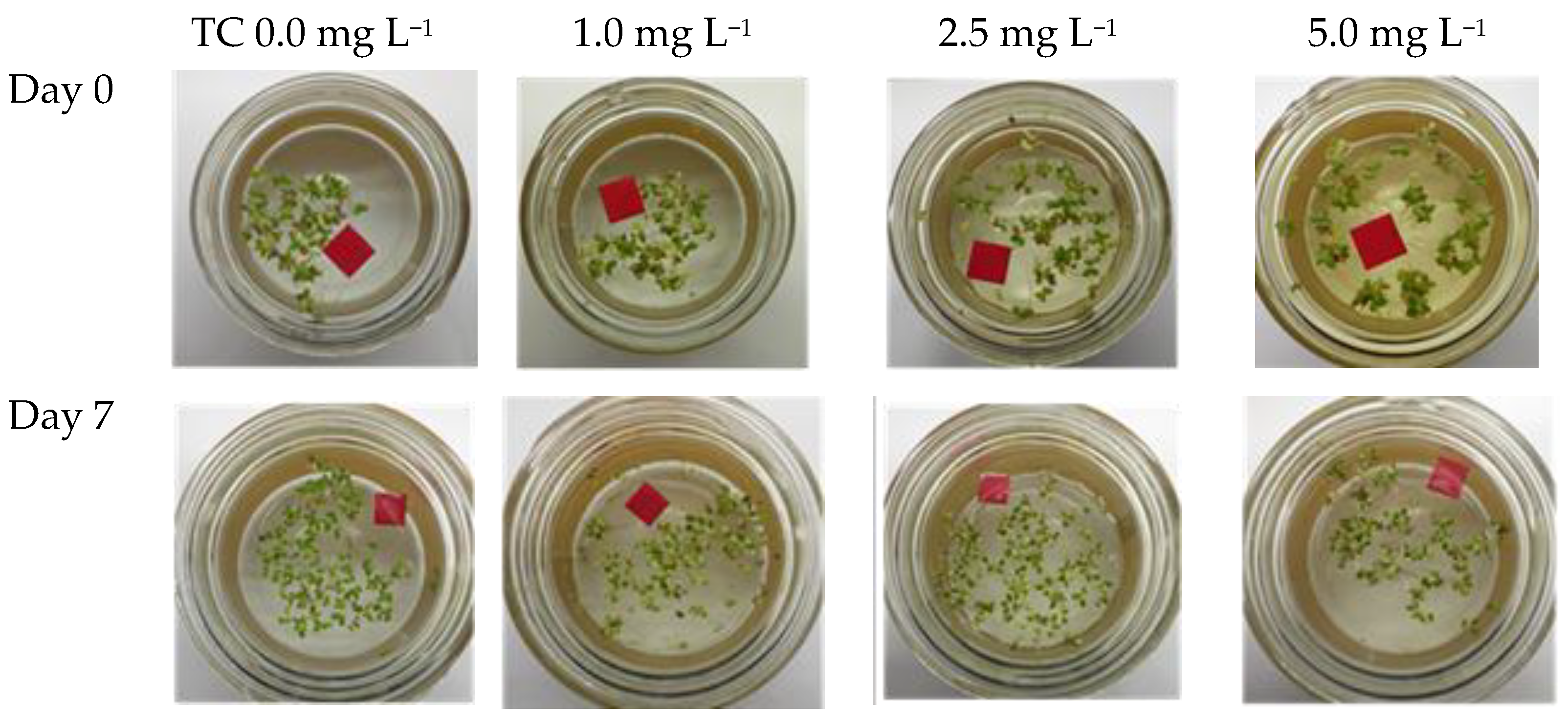 Applsci 15 11621 g002