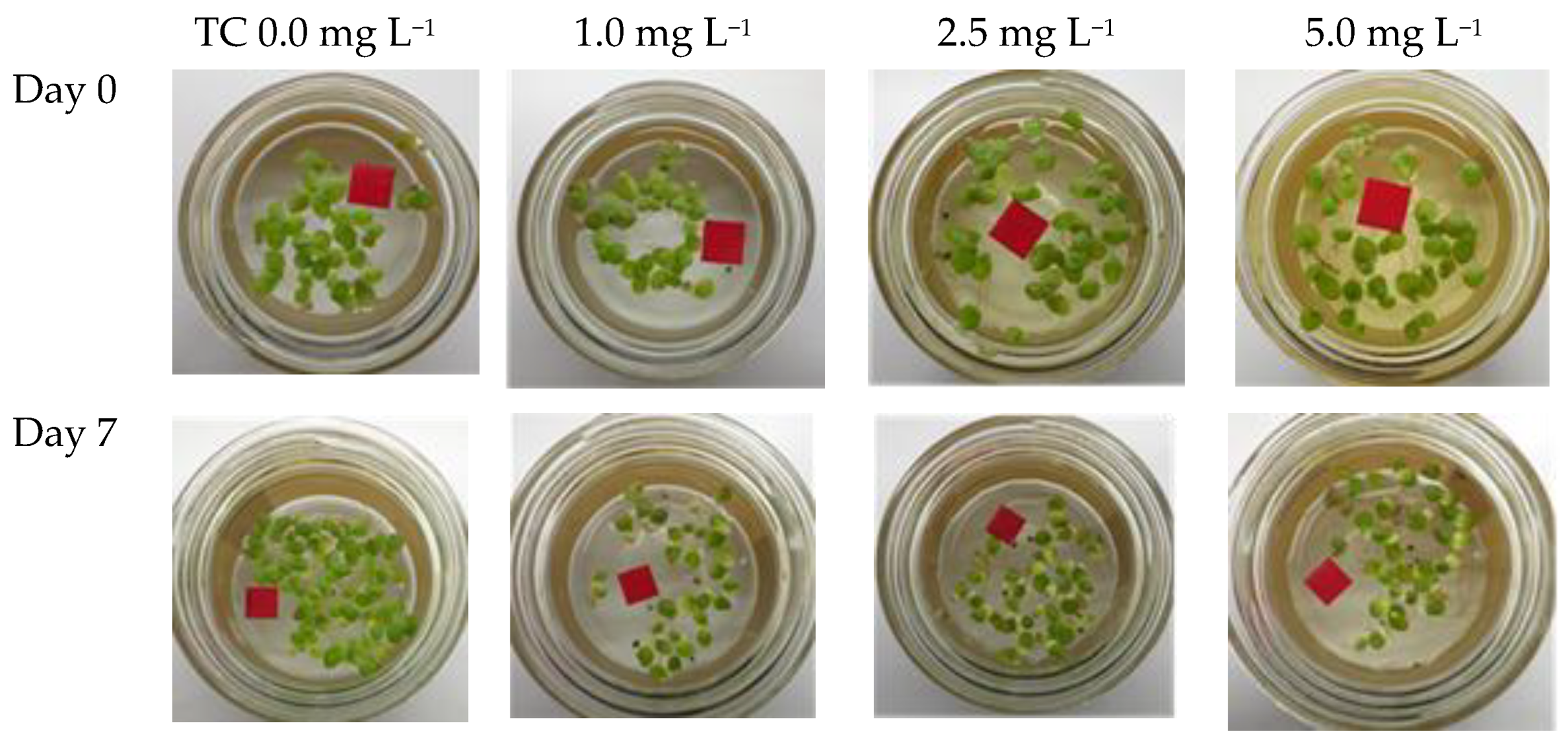 Applsci 15 11621 g005