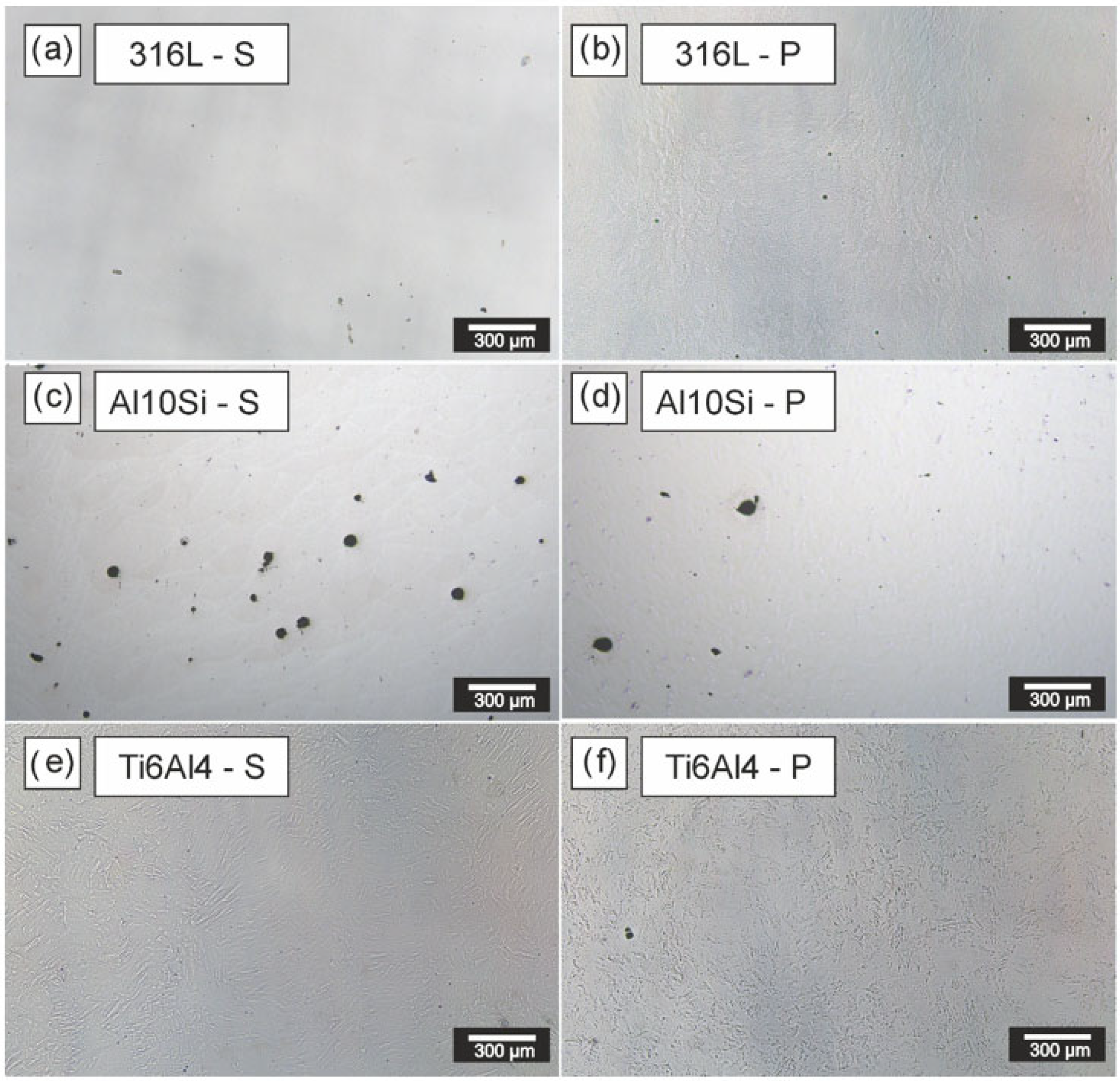 Applsci 15 11624 g005