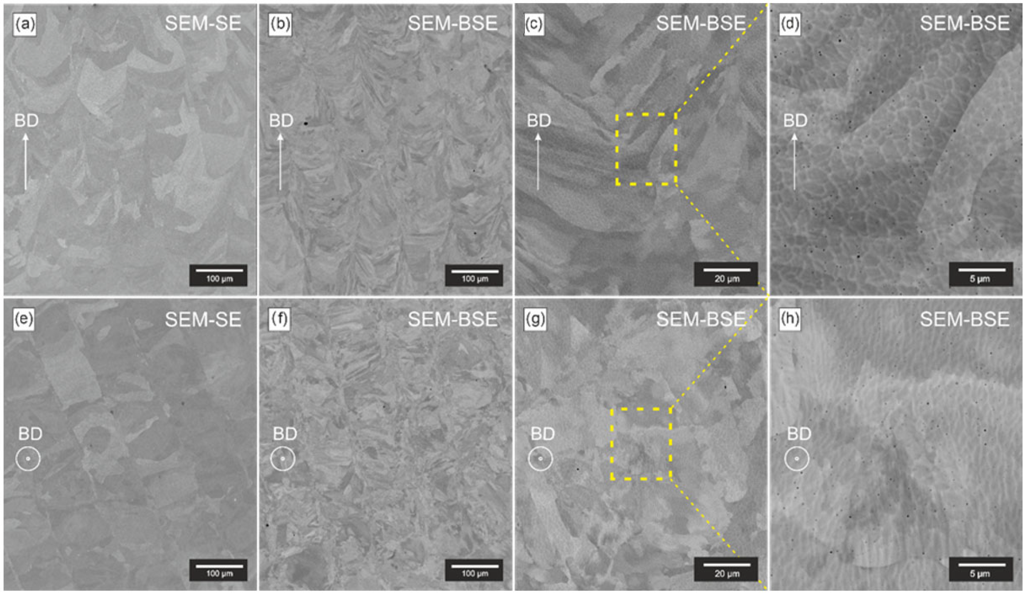 Applsci 15 11624 g006