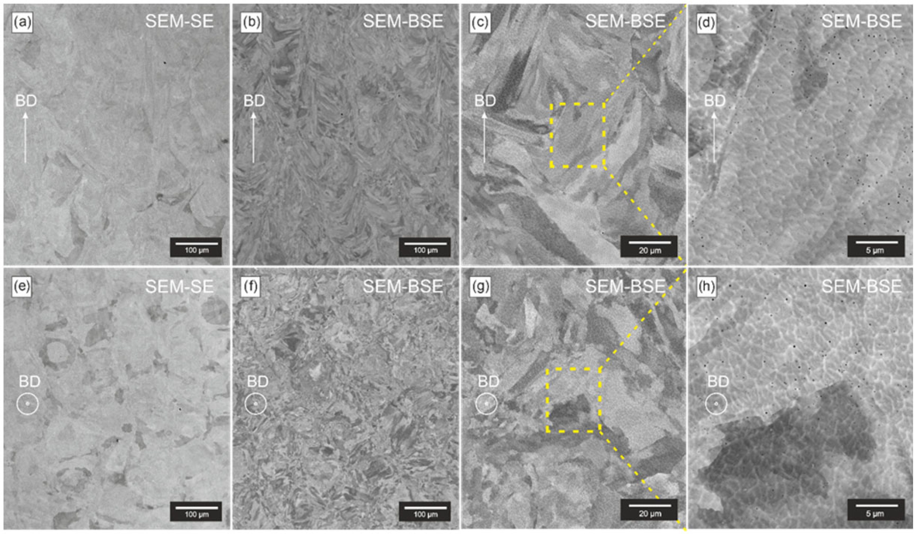 Applsci 15 11624 g007