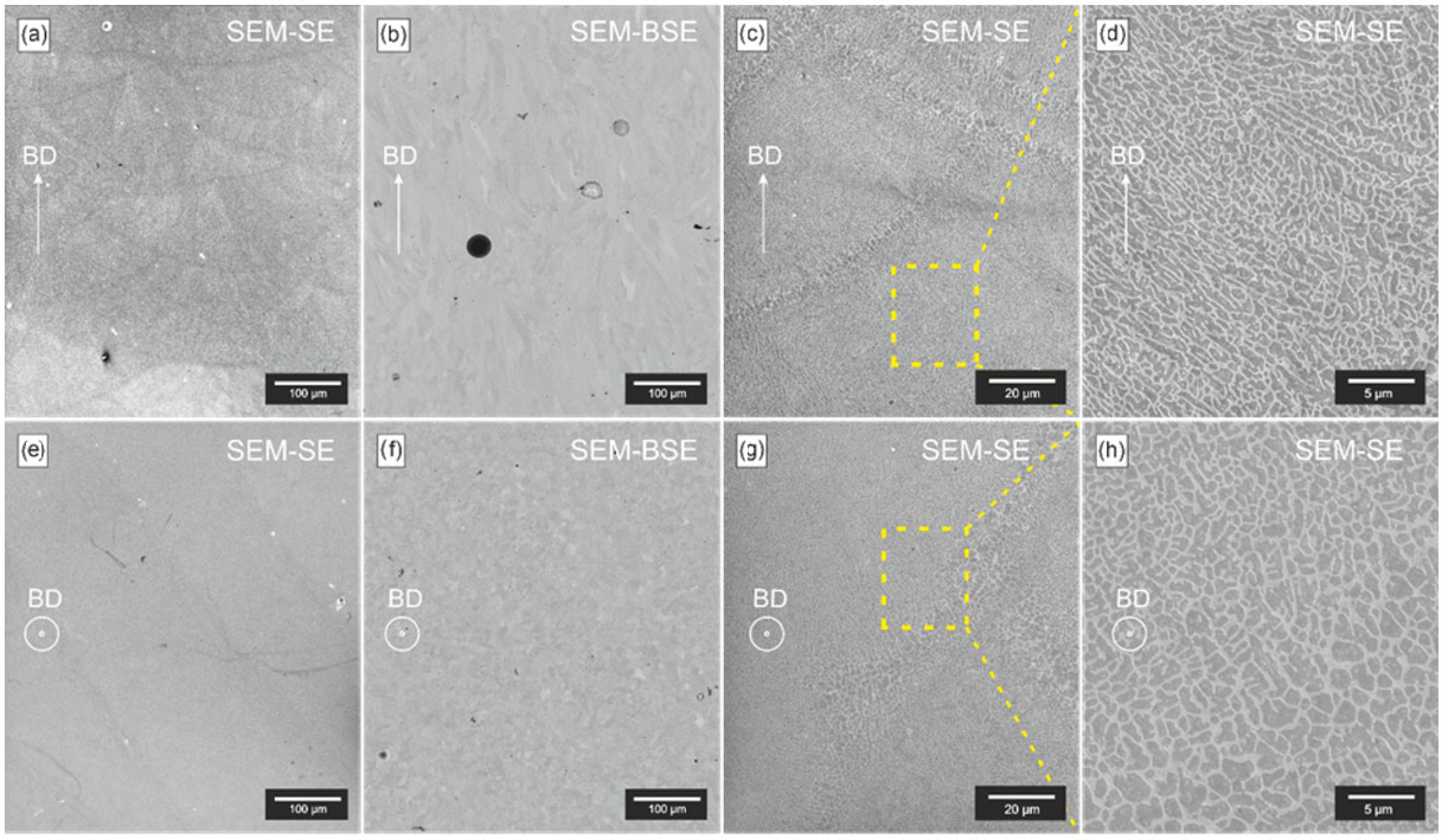 Applsci 15 11624 g008