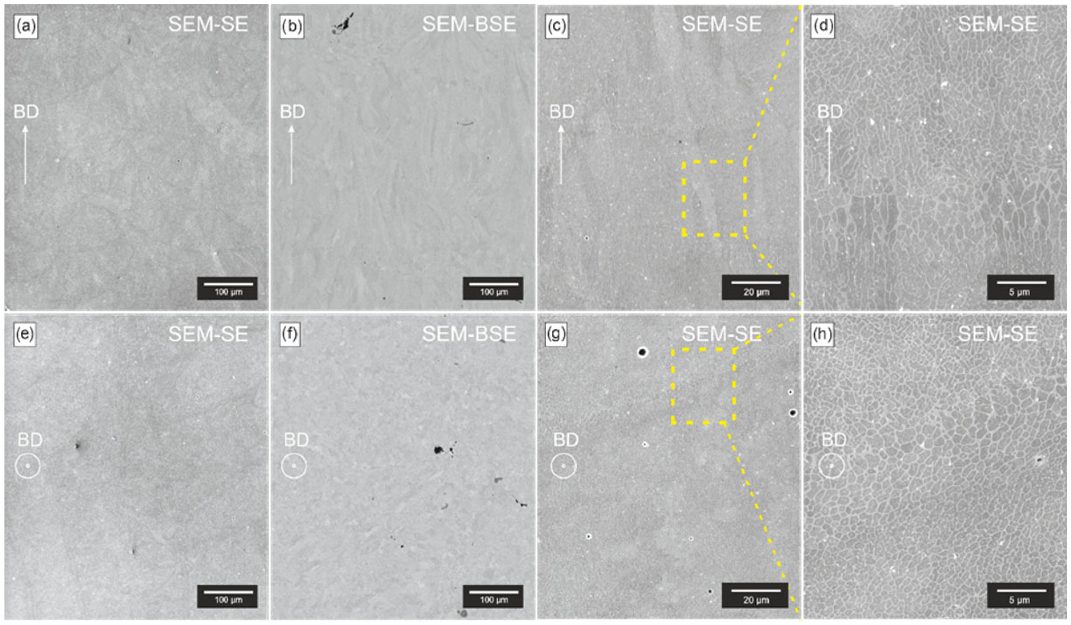 Applsci 15 11624 g009