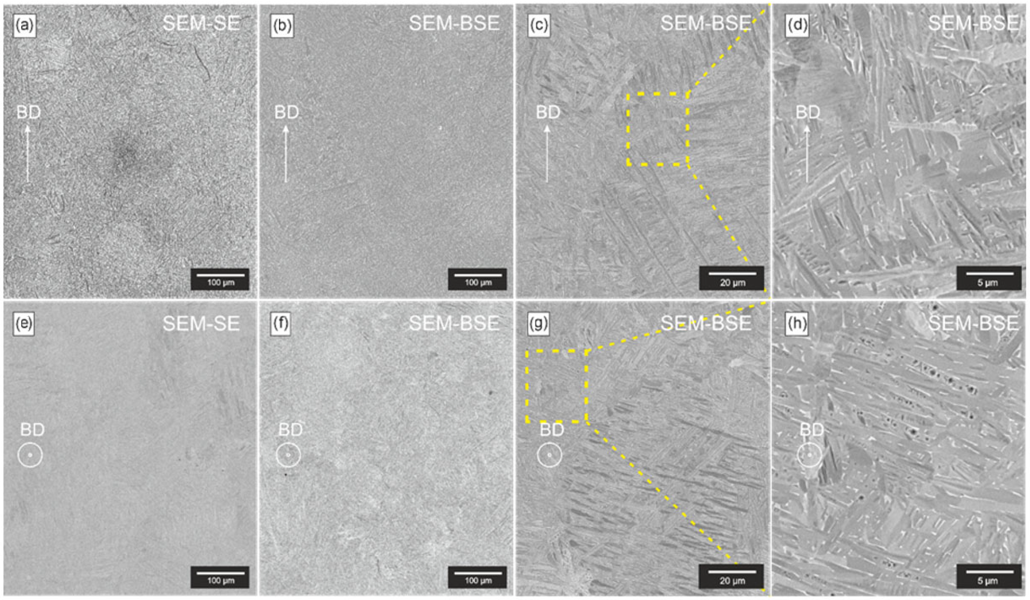 Applsci 15 11624 g010
