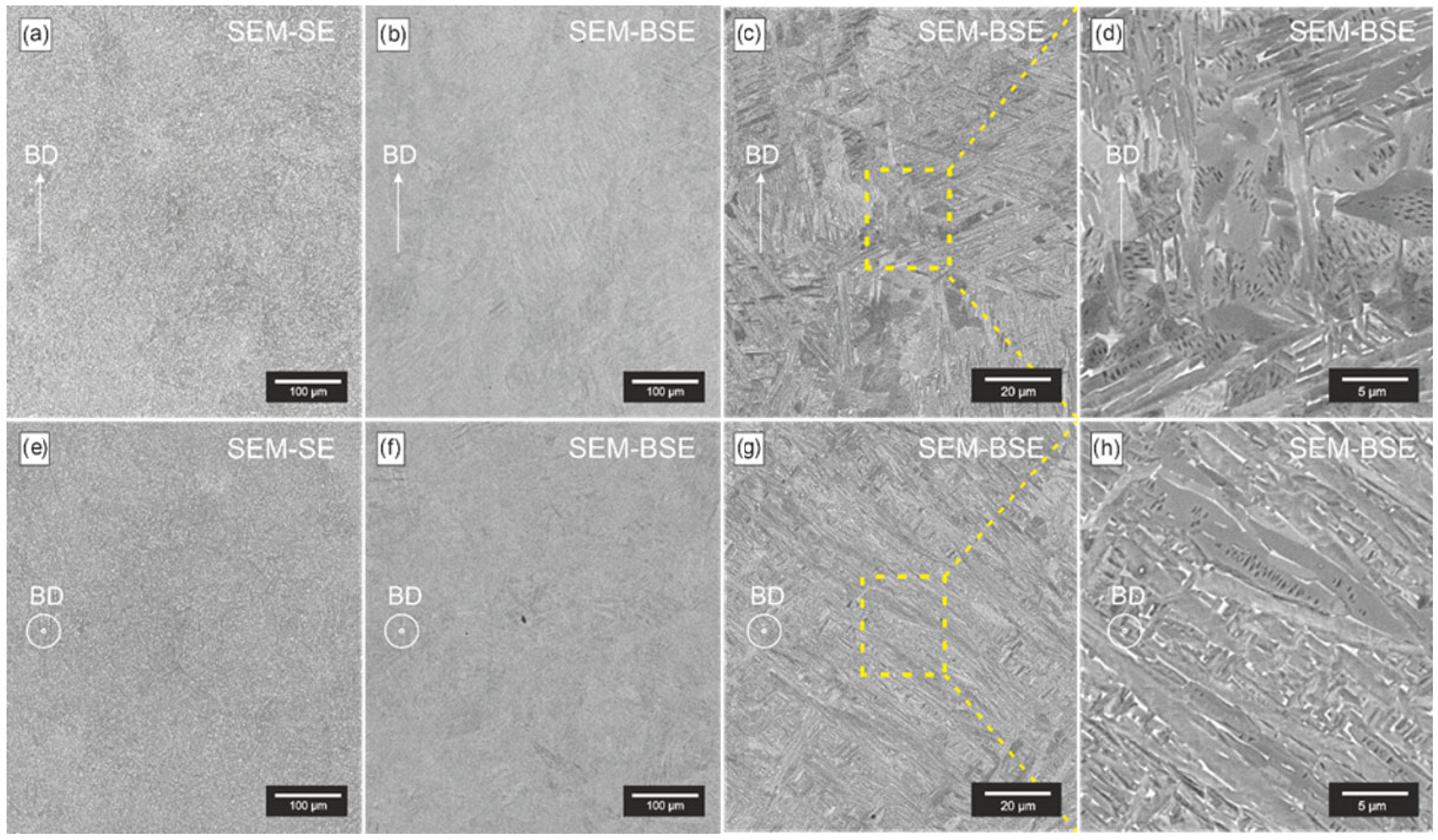 Applsci 15 11624 g011