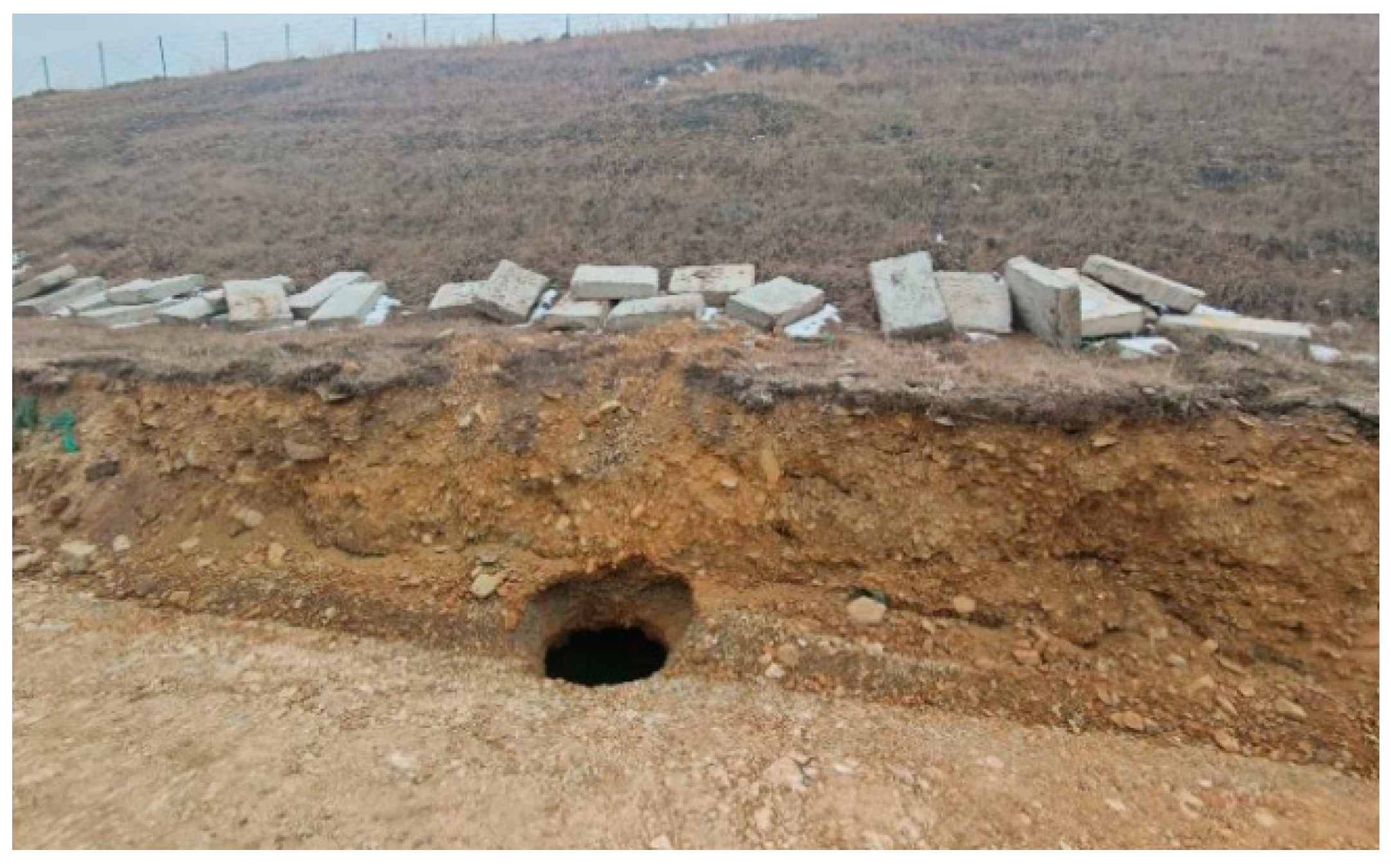 Applsci 15 11626 g007 Applsci 15 11626 g007