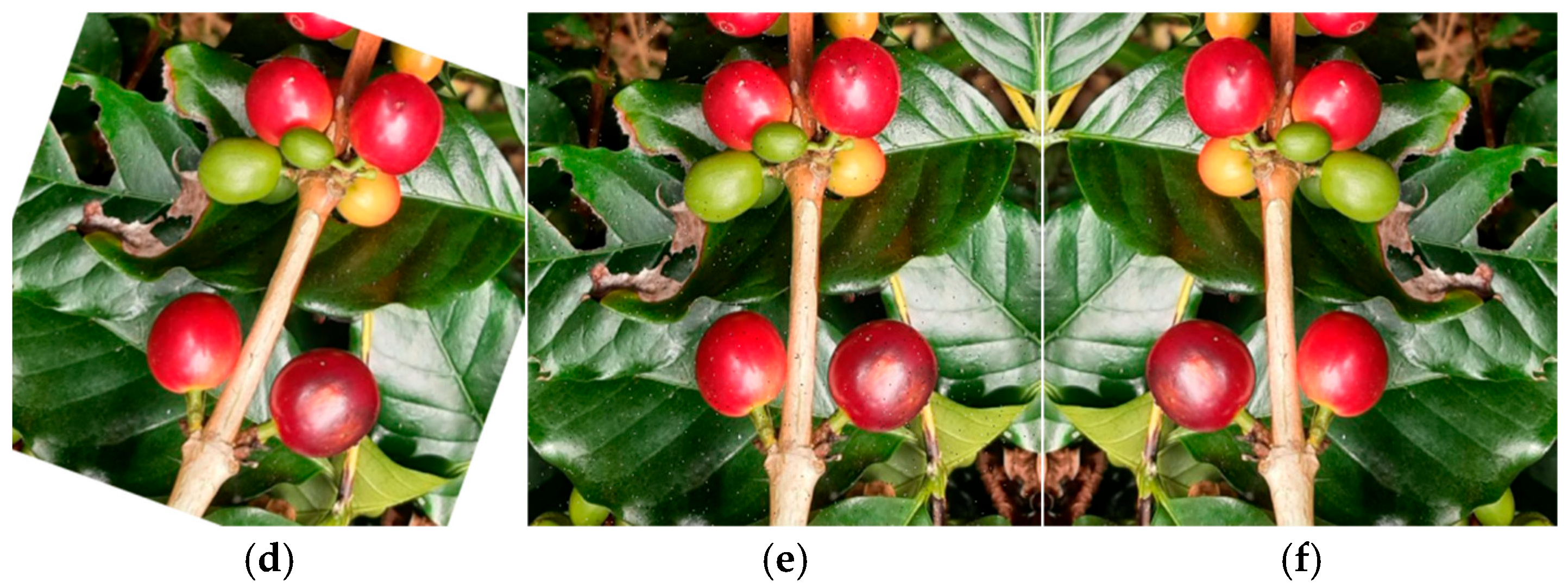 Applsci 15 11632 g001b