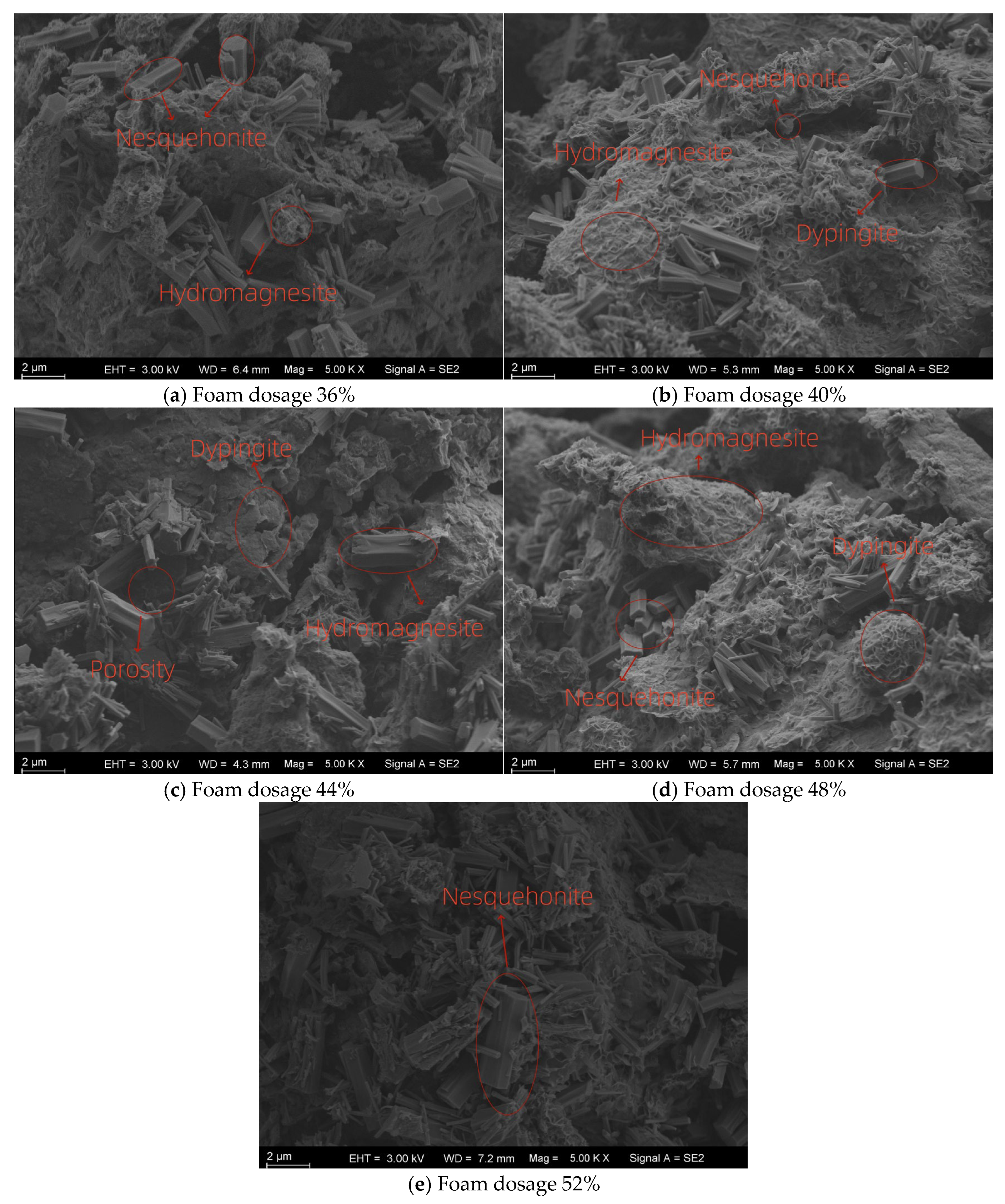 Applsci 15 11636 g016