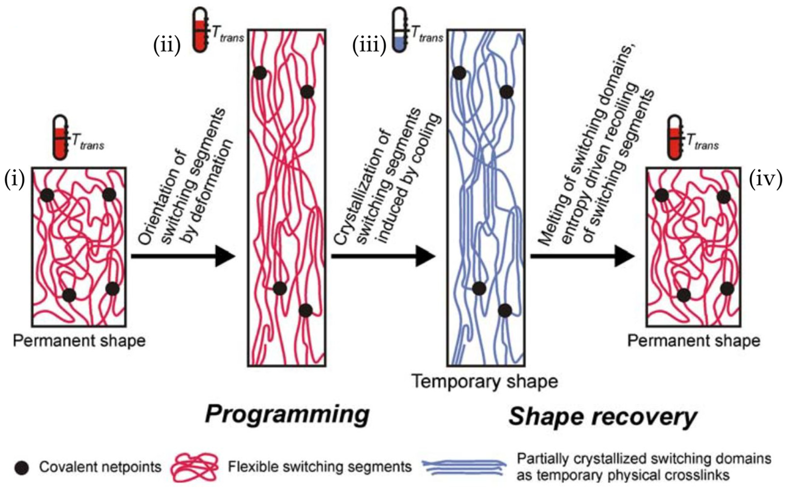 Applsci 15 11641 g008 Applsci 15 11641 g008