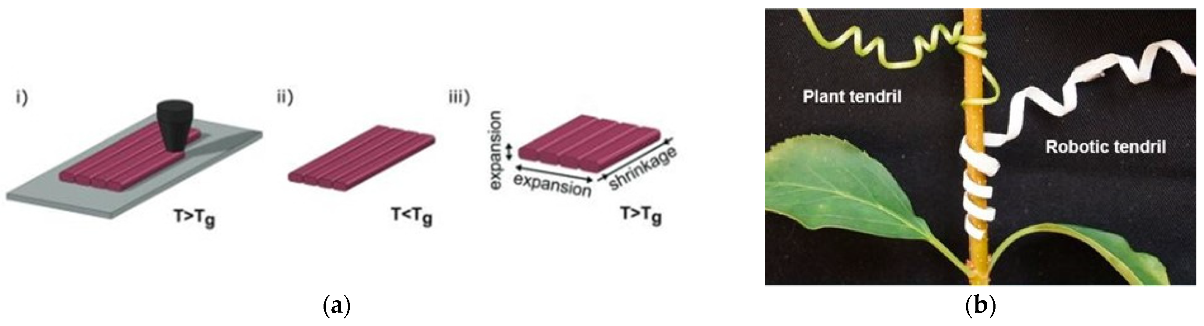 Applsci 15 11641 g010 Applsci 15 11641 g010