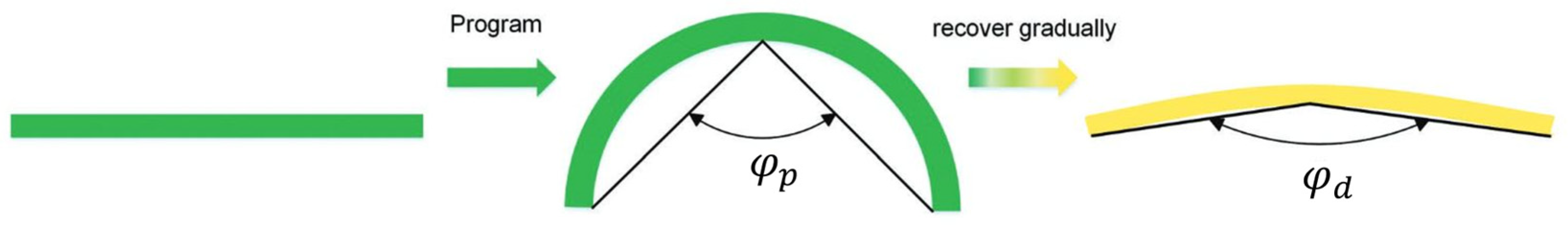 Applsci 15 11641 g015 Applsci 15 11641 g015