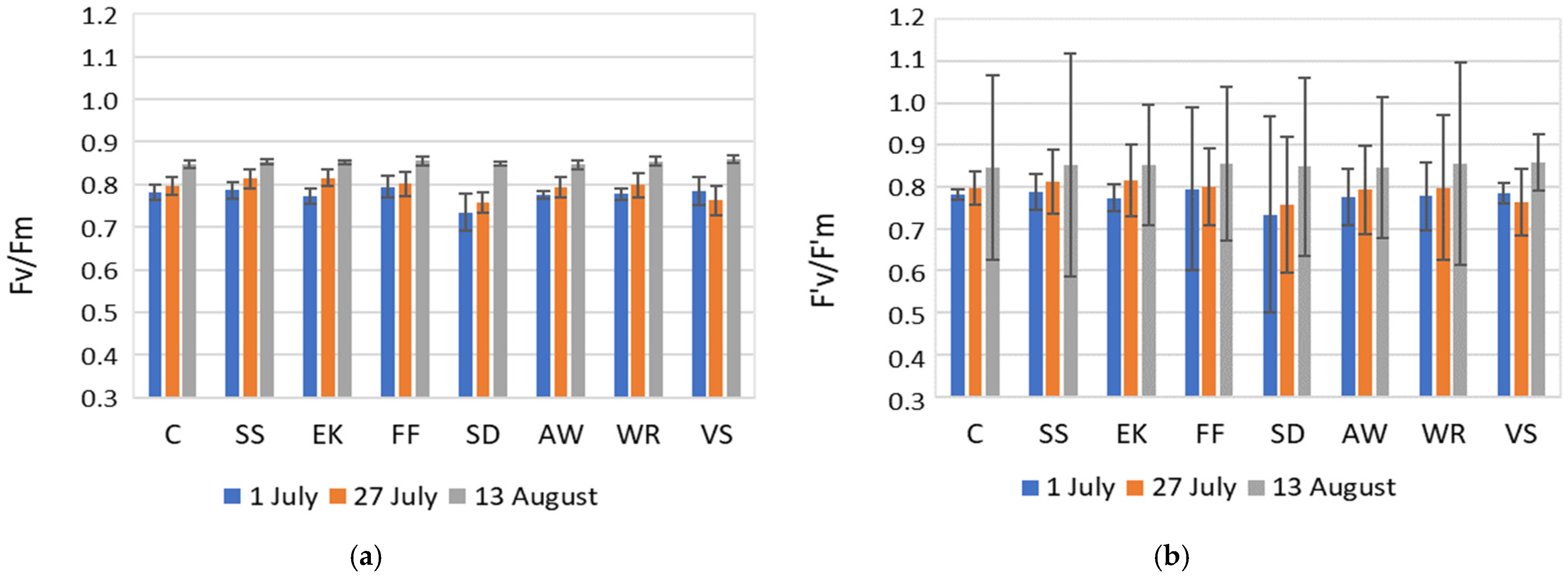 Applsci 15 11644 g005 Applsci 15 11644 g005