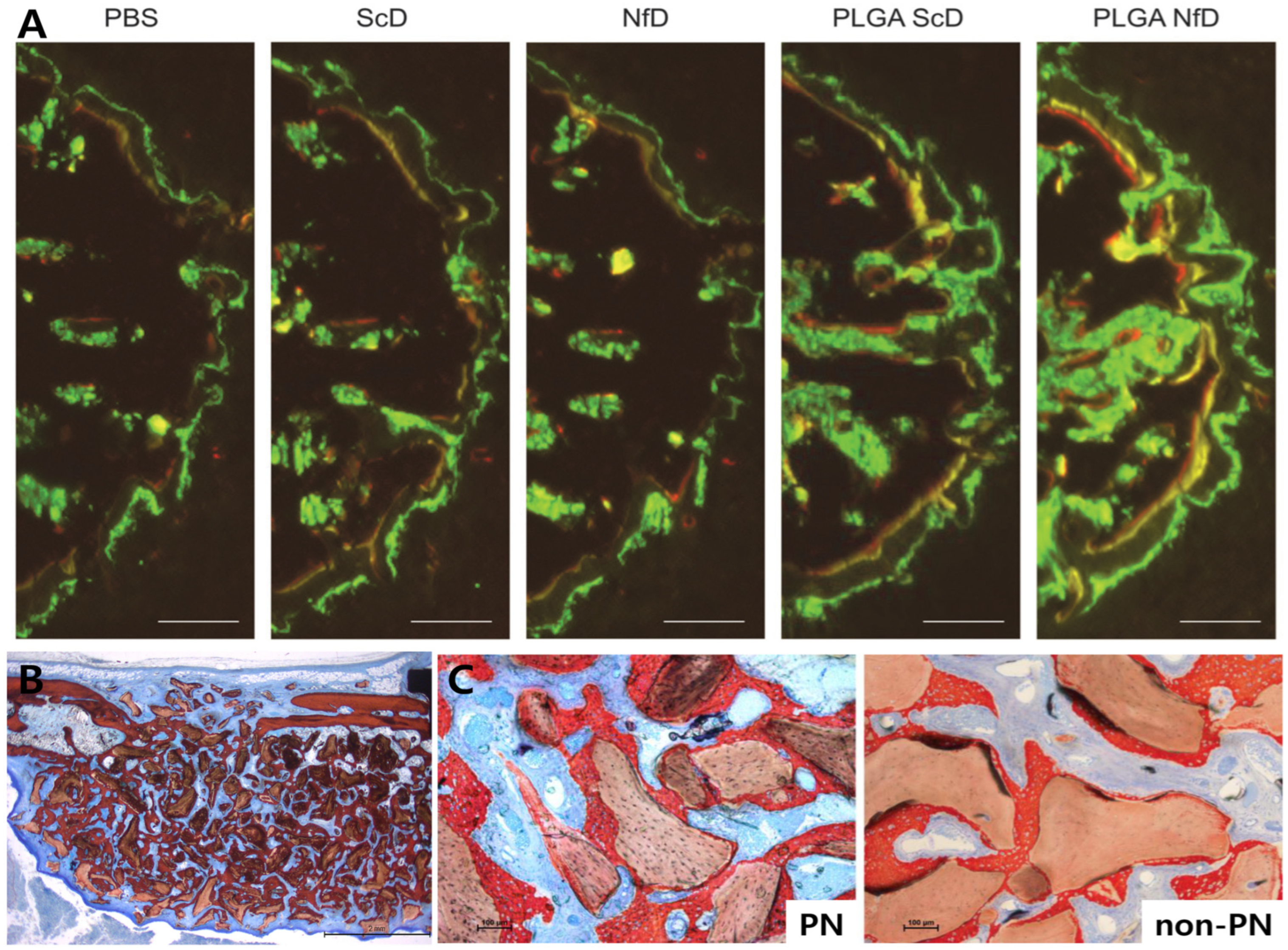 Applsci 15 11655 g003