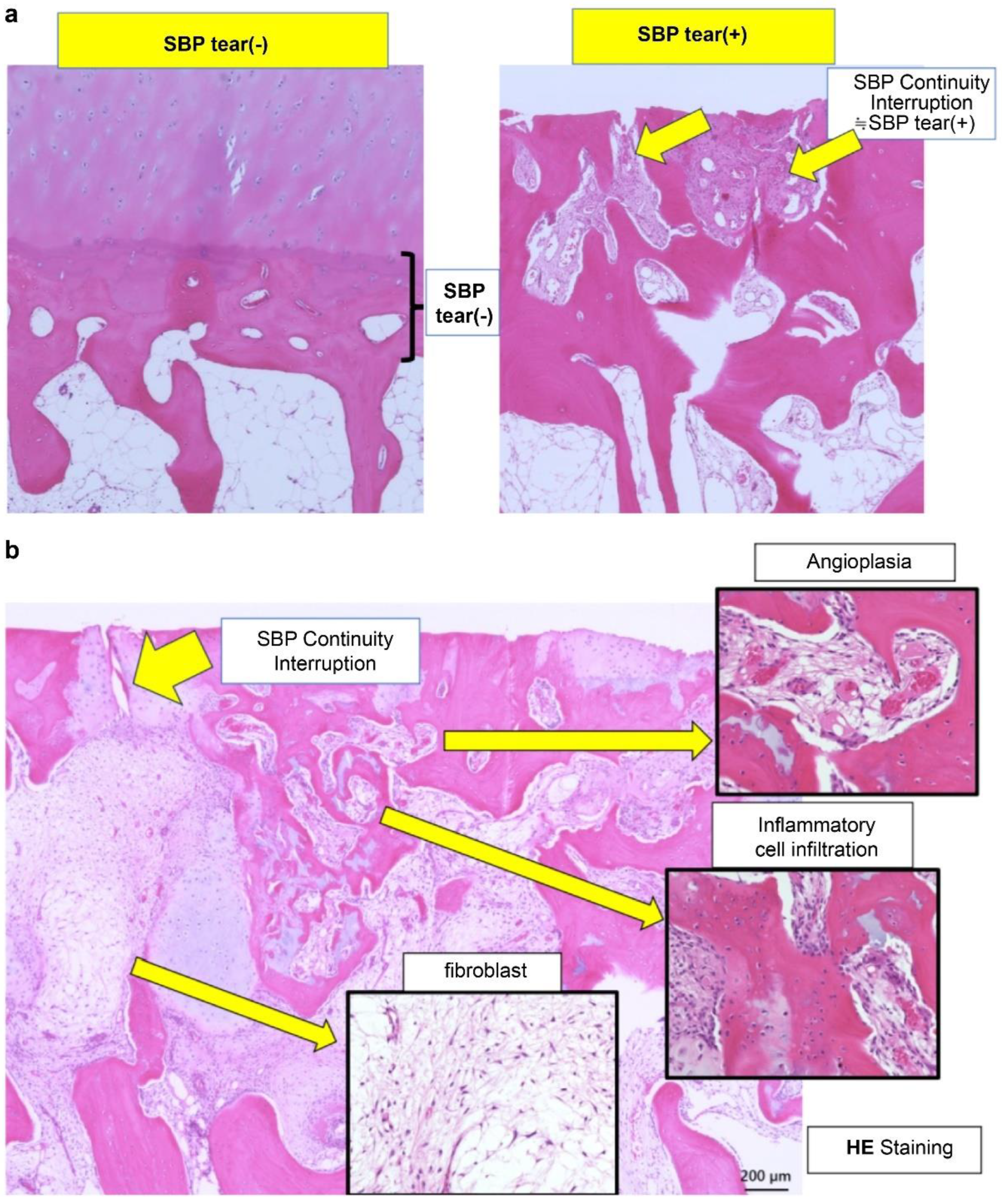 Applsci 15 11661 g001