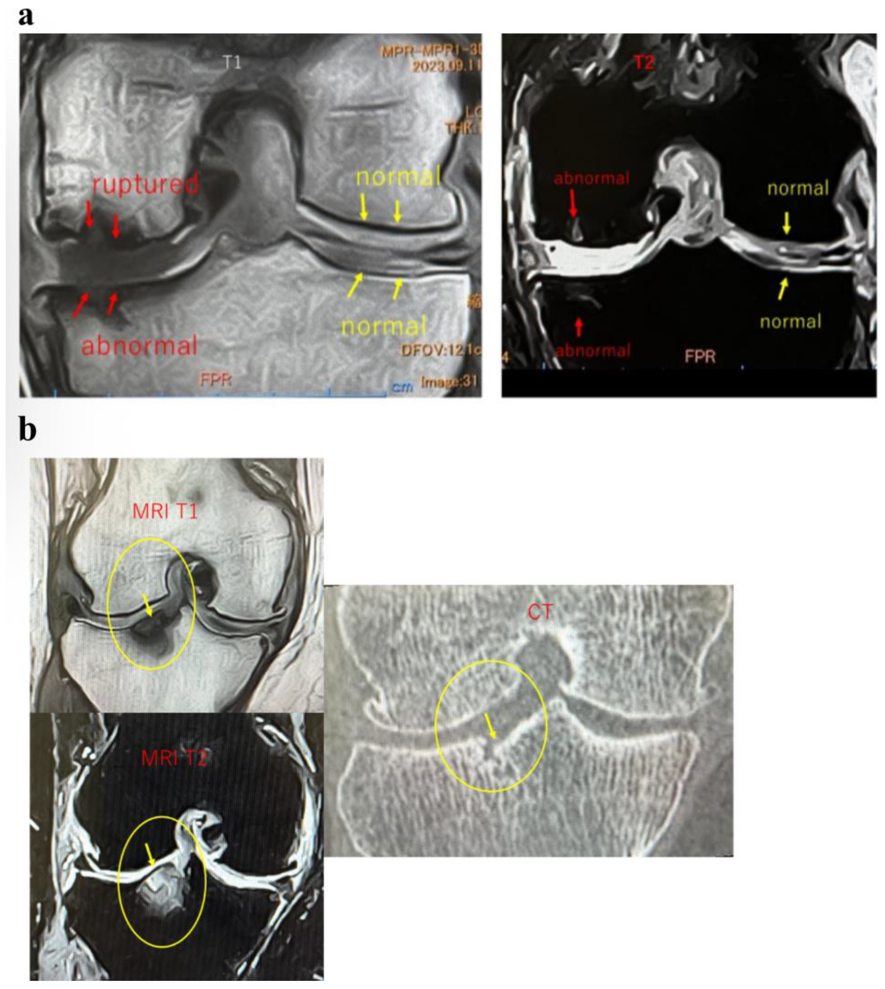 Applsci 15 11661 g002