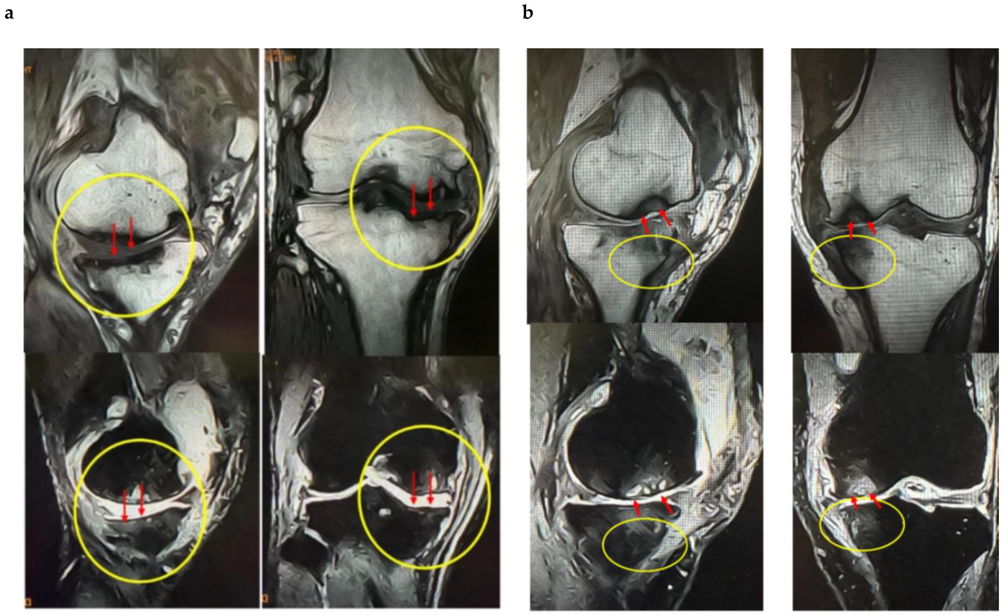 Applsci 15 11661 g003