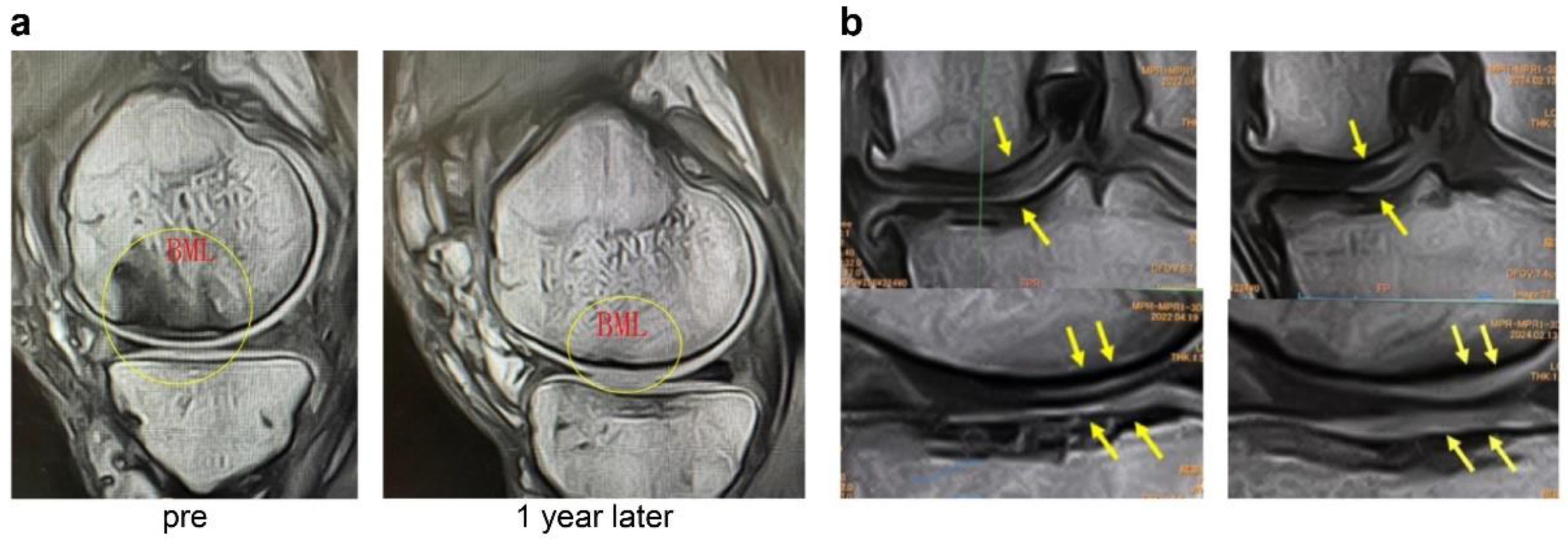 Applsci 15 11661 g006