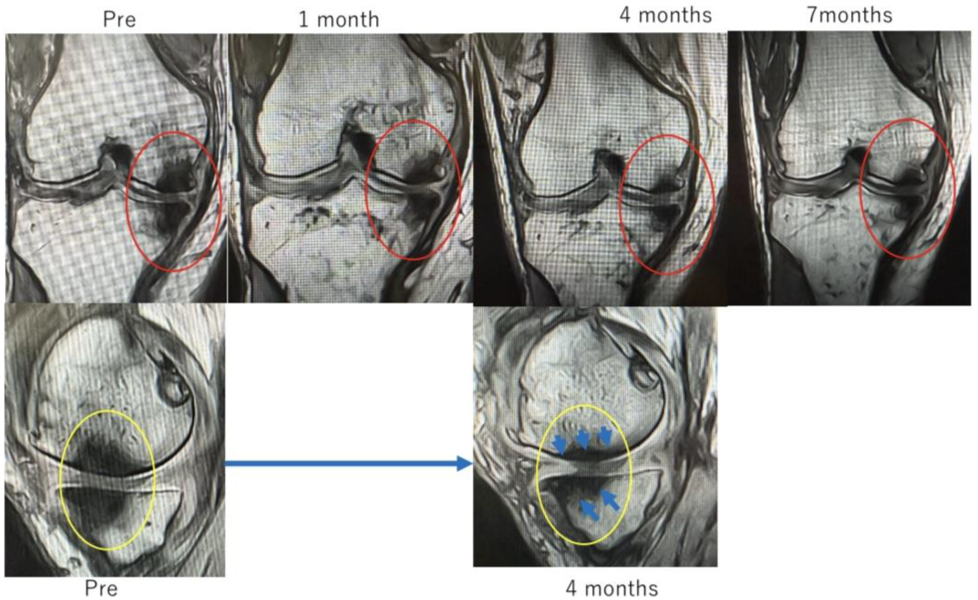 Applsci 15 11661 g008