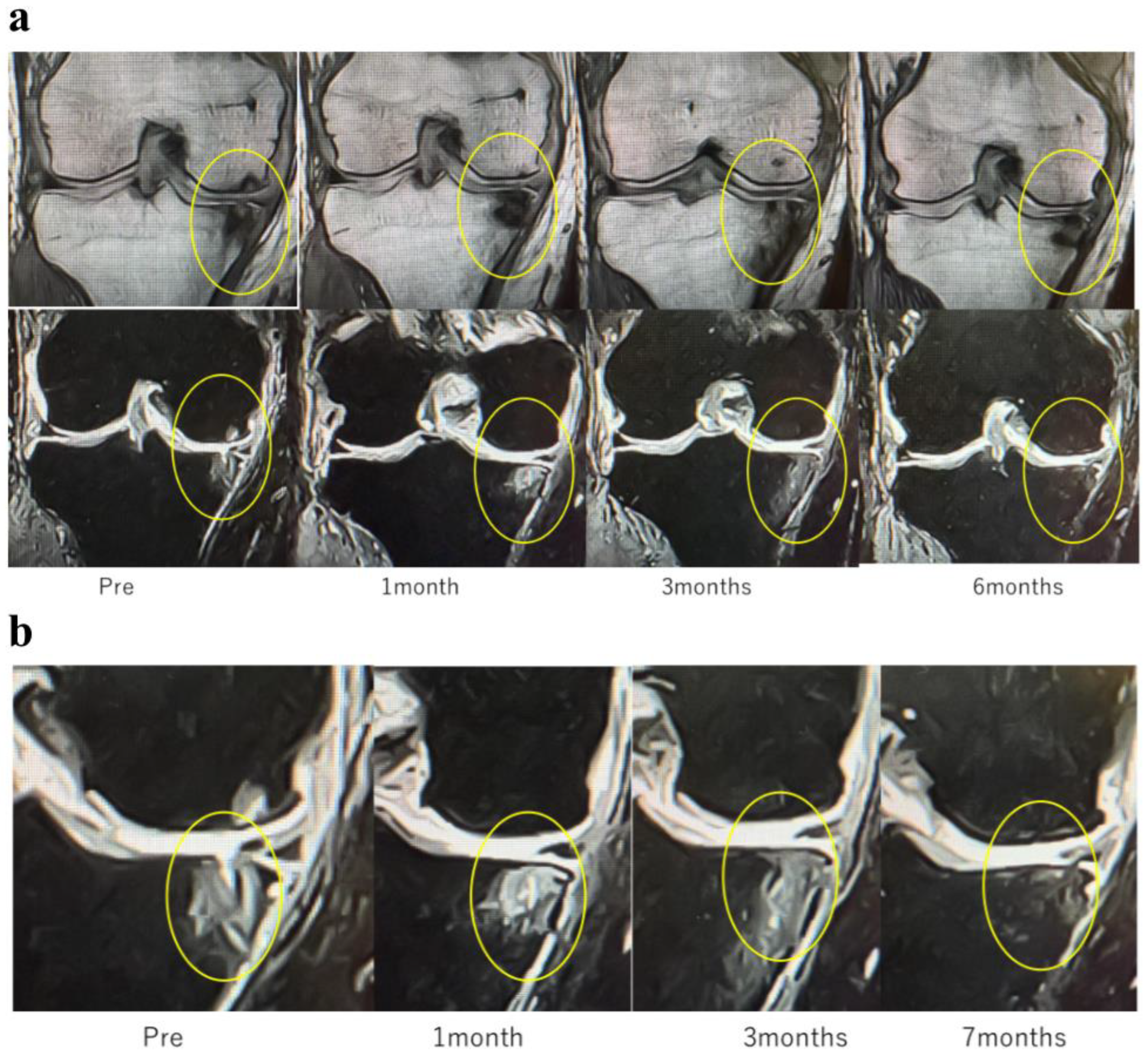 Applsci 15 11661 g009