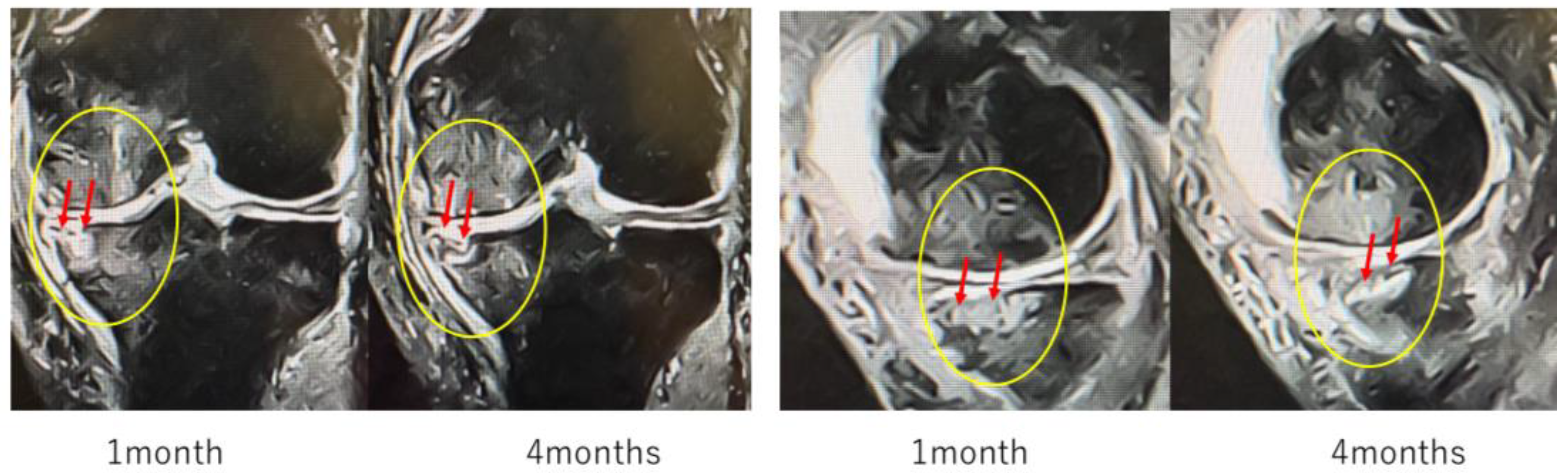 Applsci 15 11661 g010