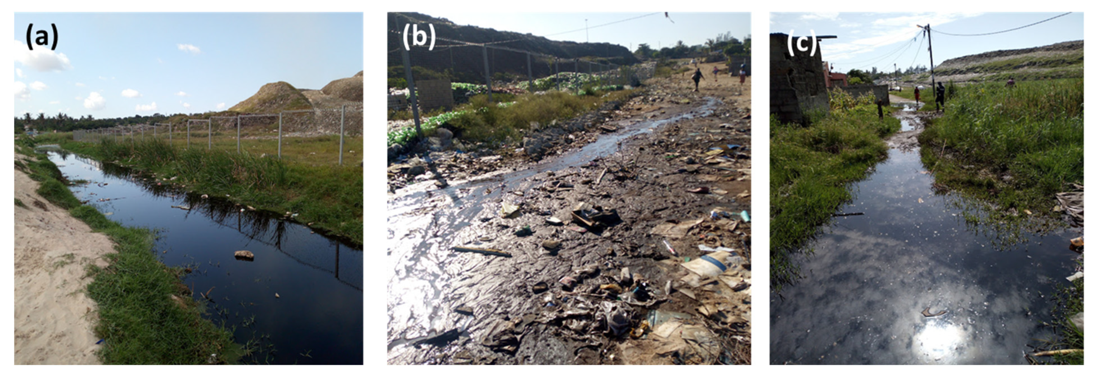 Applsci 15 11663 g008 Applsci 15 11663 g008