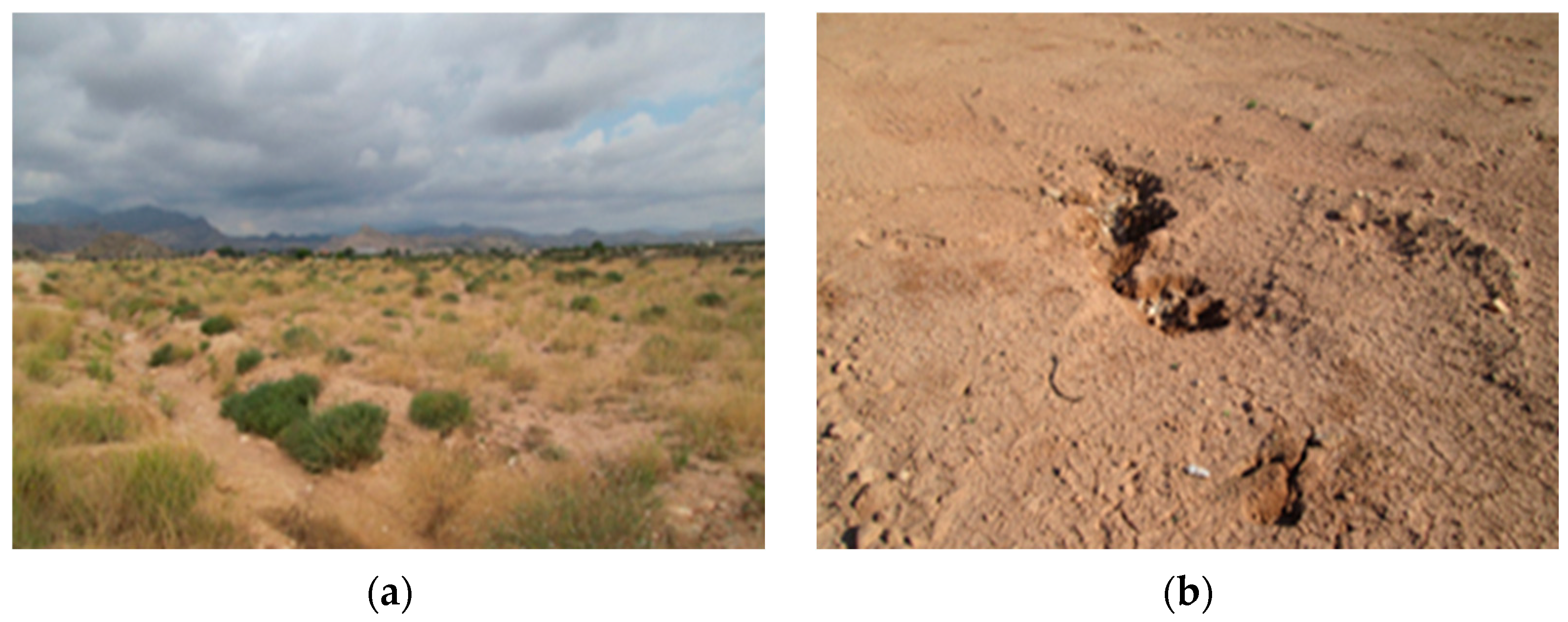 Applsci 15 11664 g003 Applsci 15 11664 g003