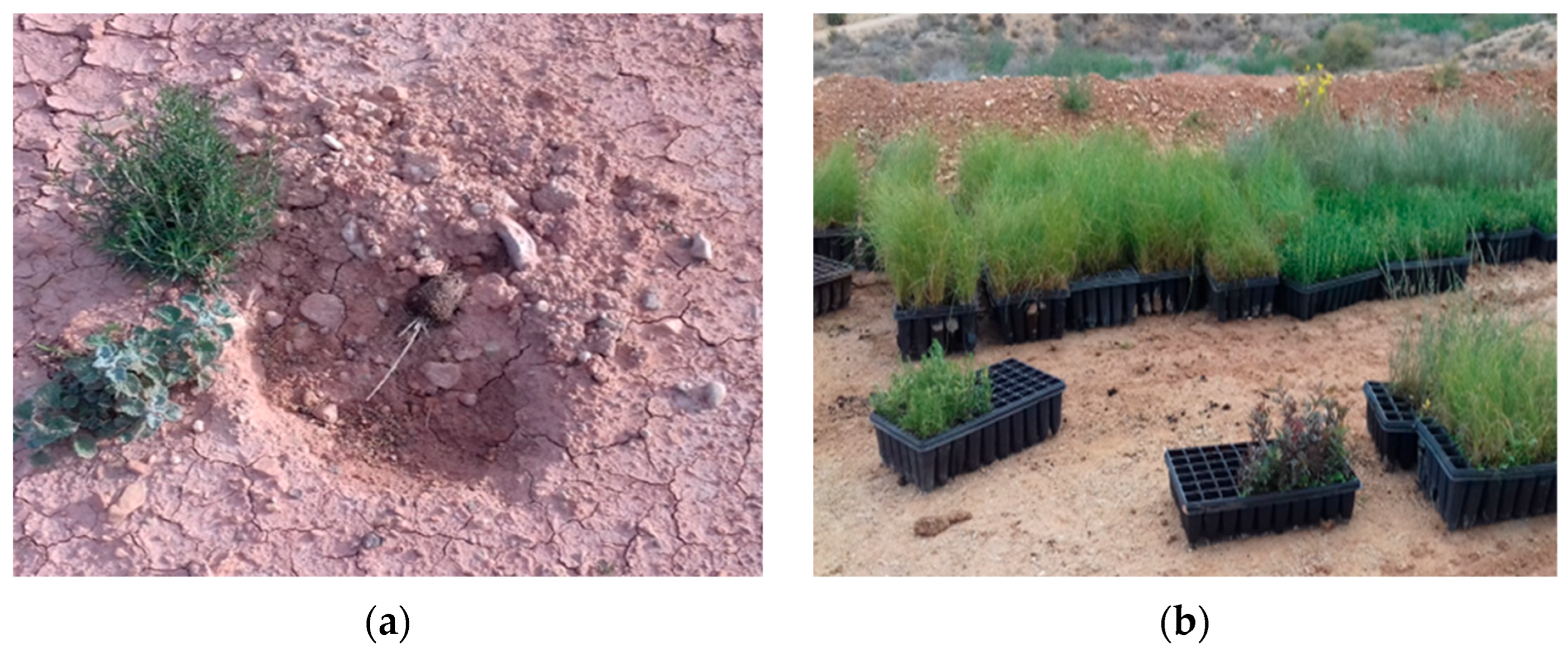 Applsci 15 11664 g004 Applsci 15 11664 g004