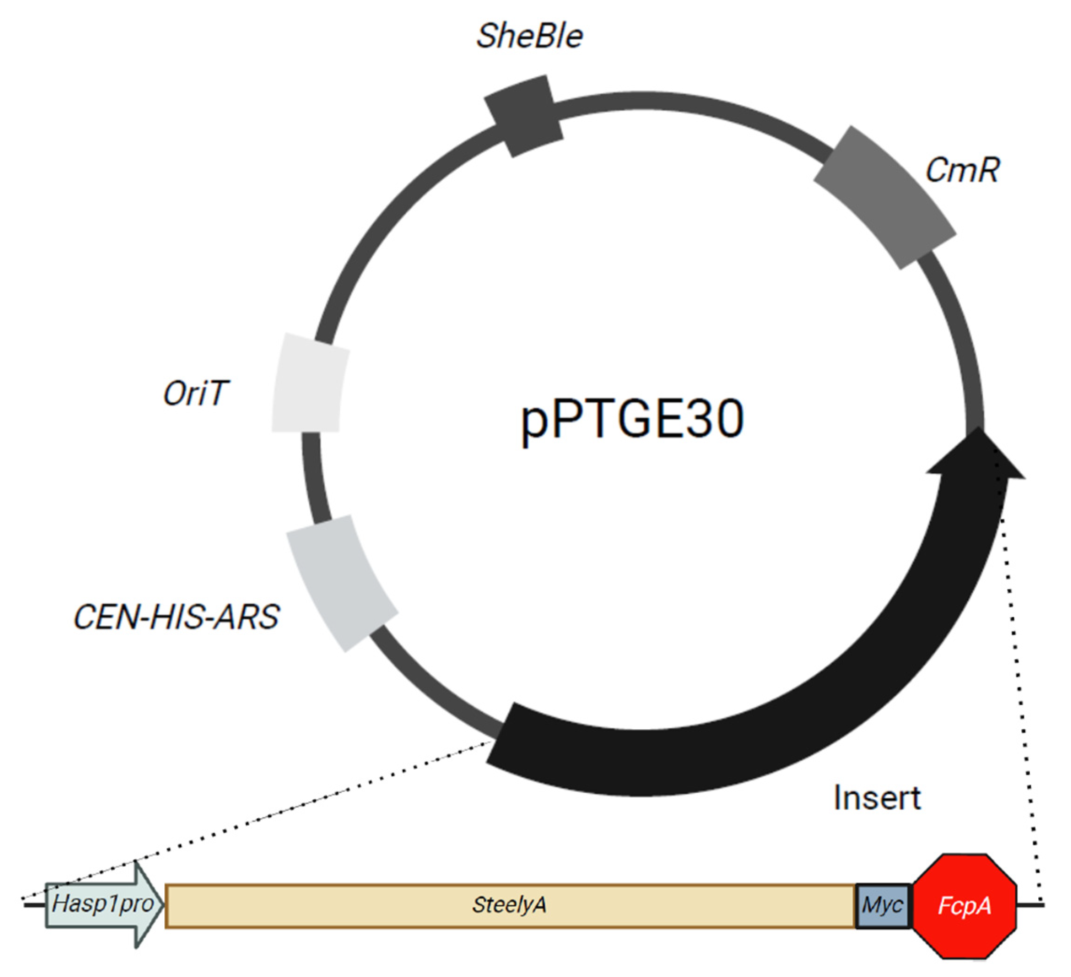 Applsci 15 11679 g002