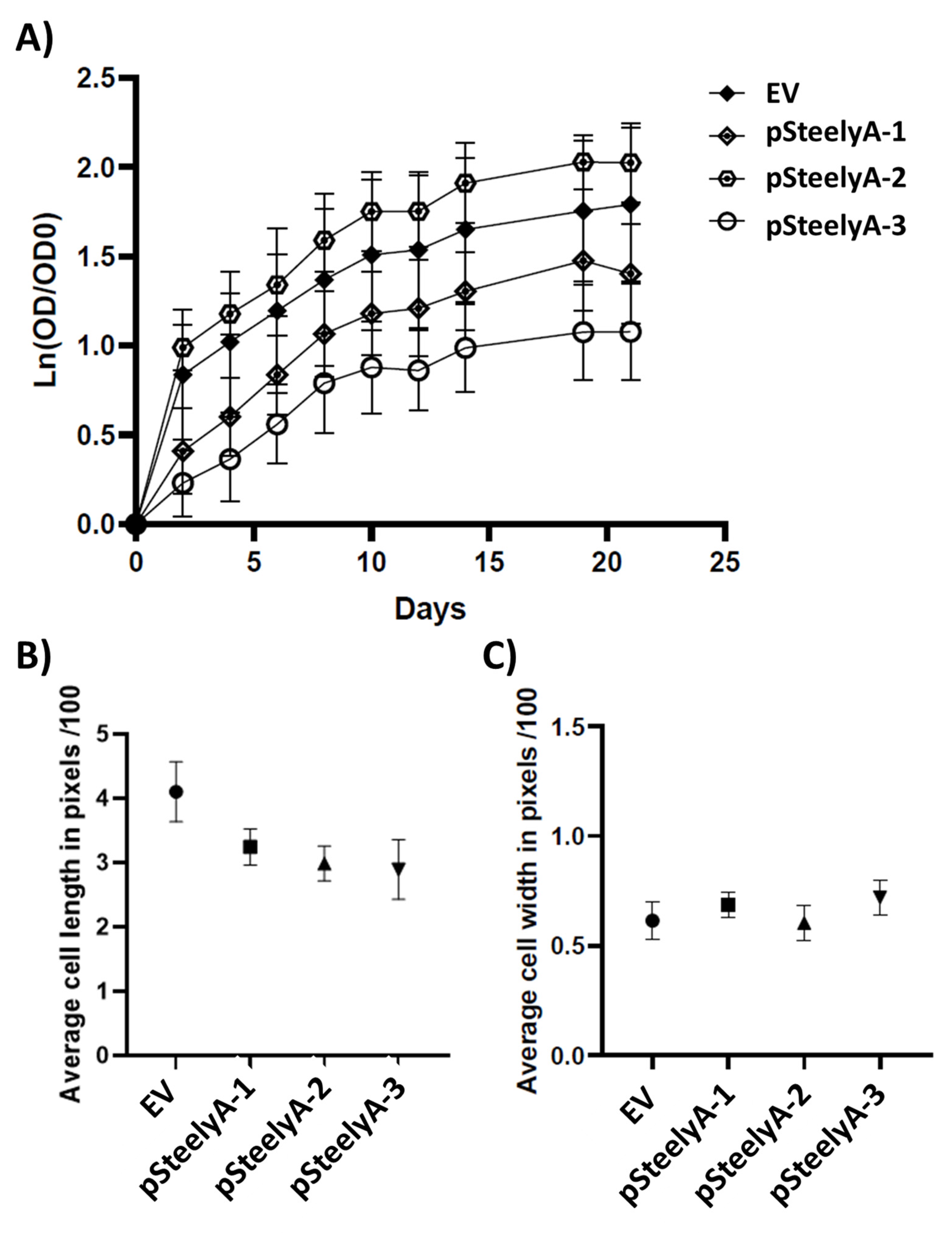 Applsci 15 11679 g003