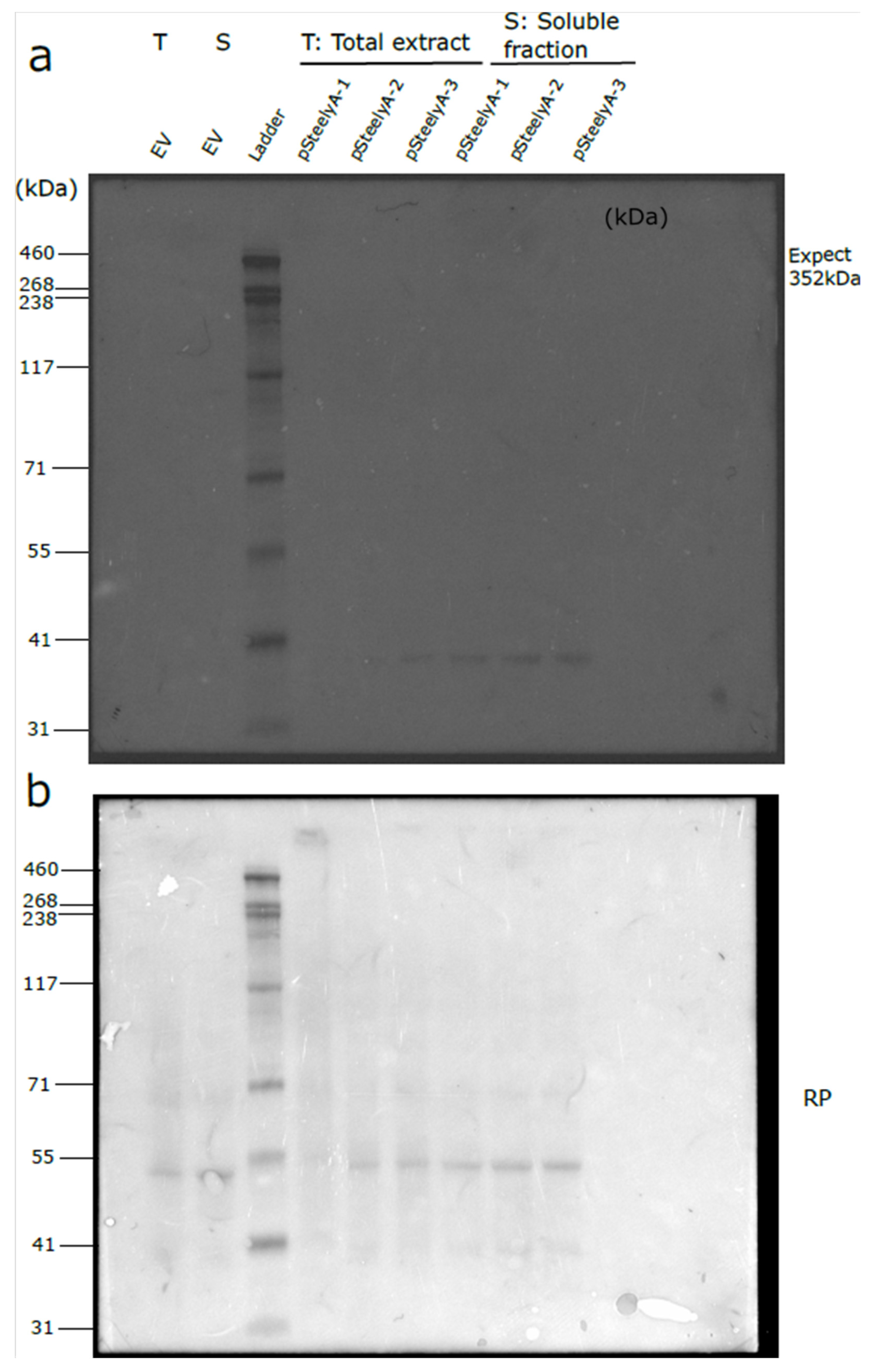 Applsci 15 11679 g004