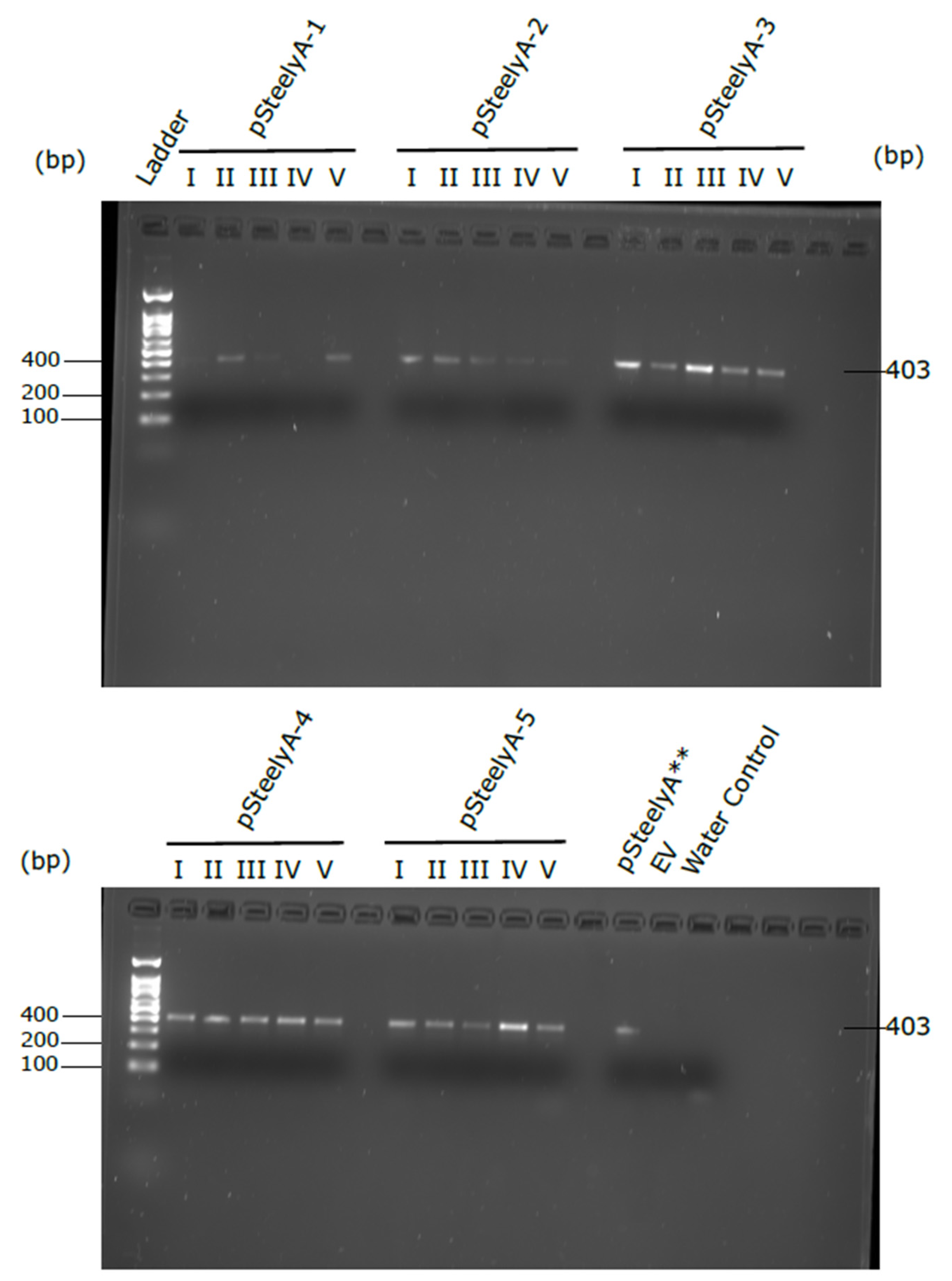 Applsci 15 11679 g0a1