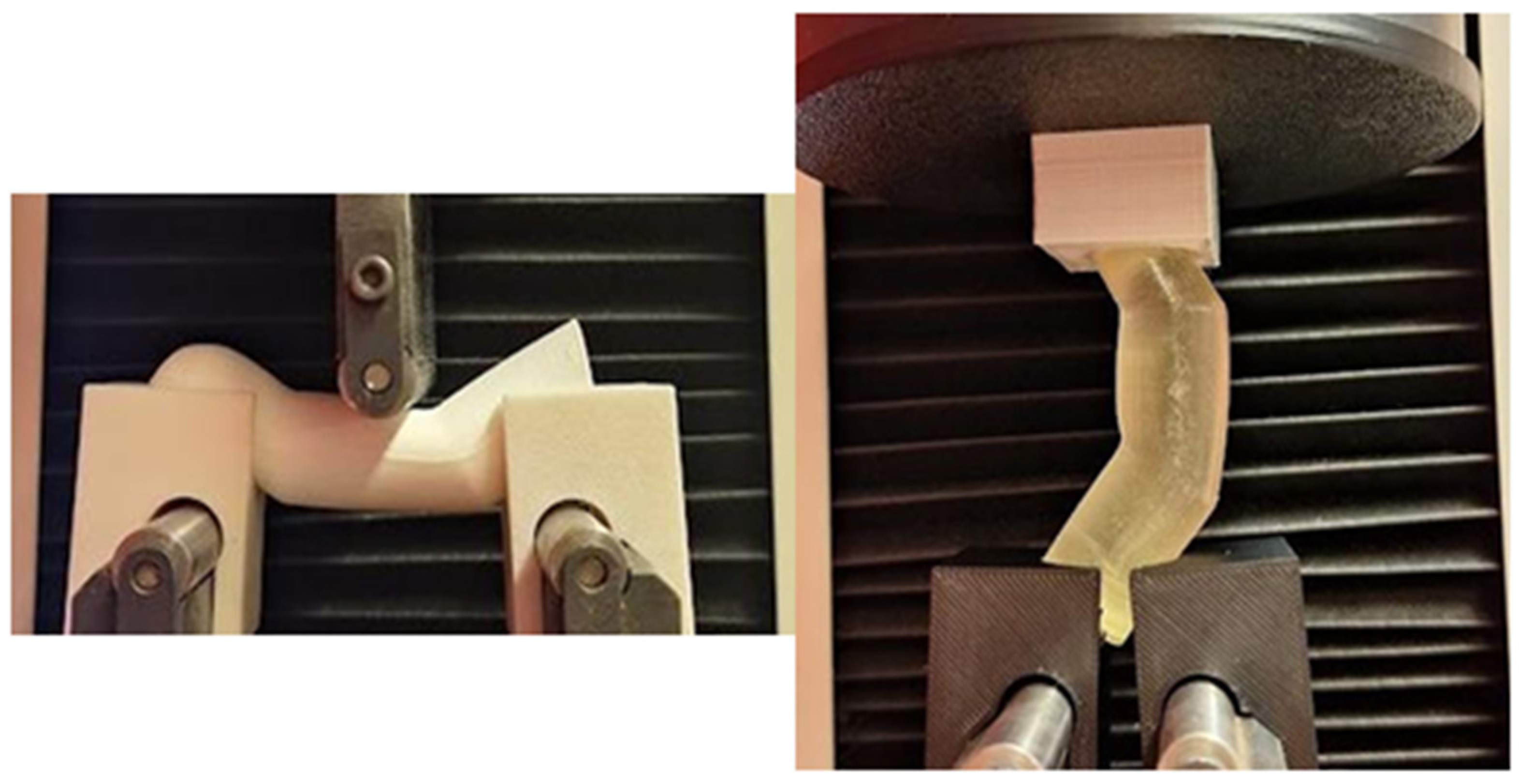 Applsci 15 11684 g002