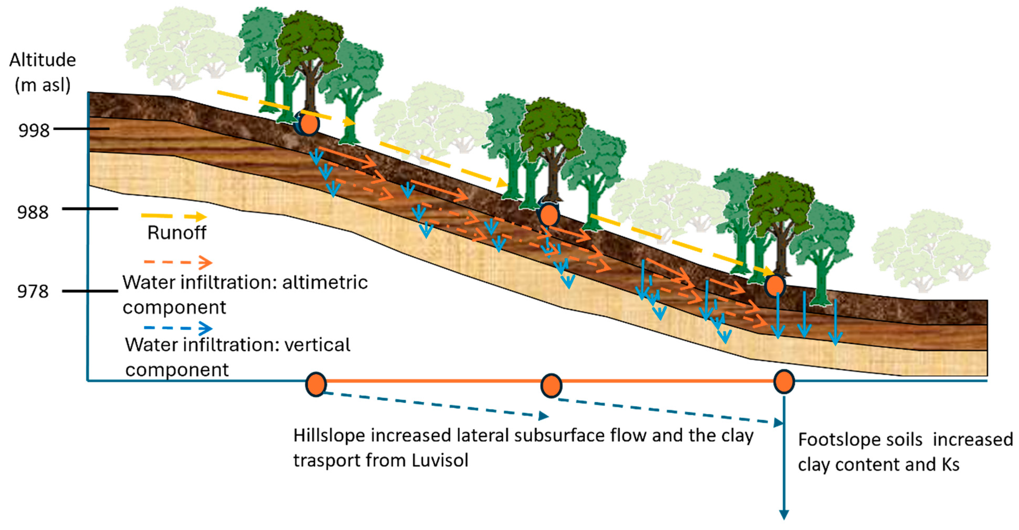 Applsci 15 11695 g010 Applsci 15 11695 g010