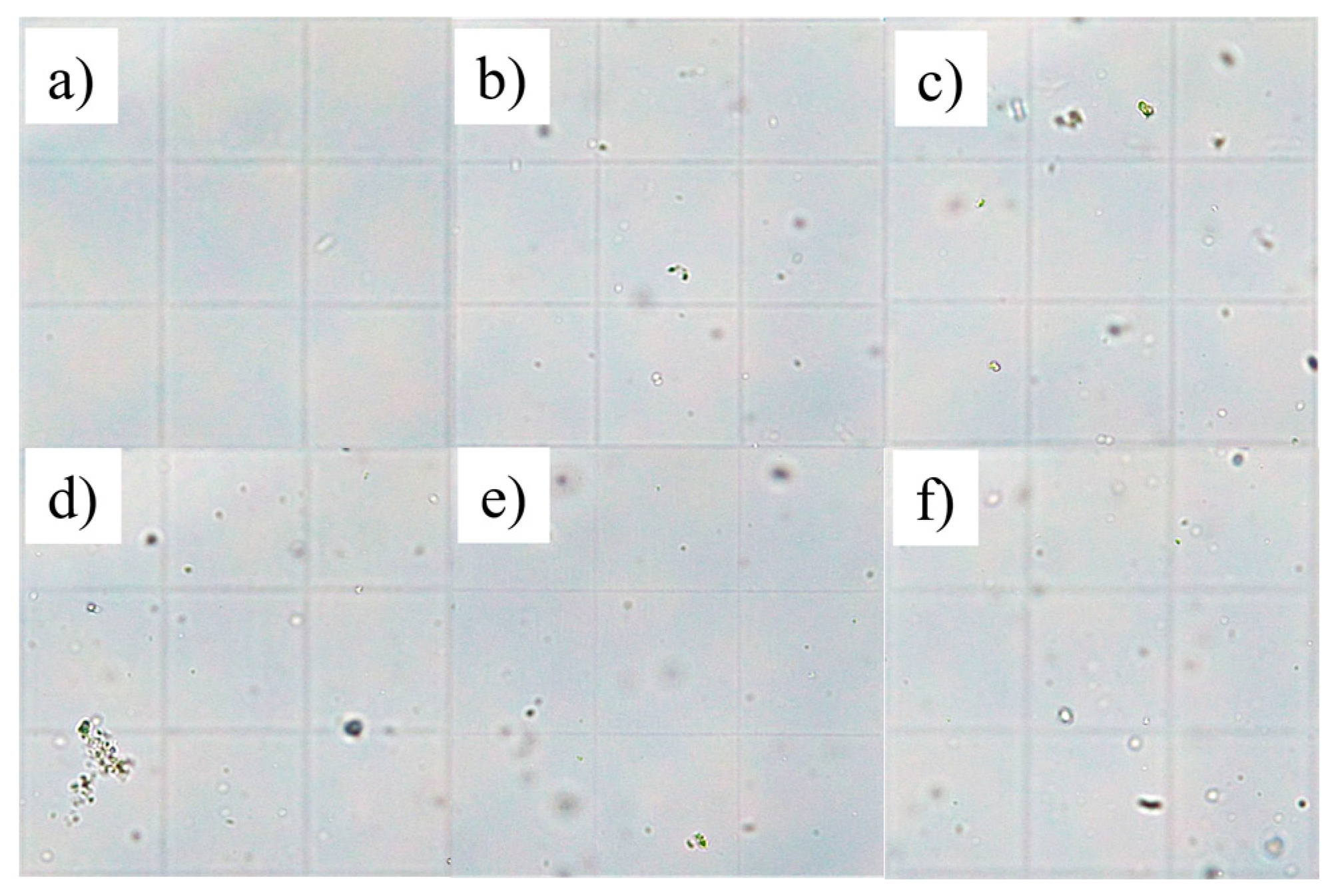 Applsci 15 11697 g002 Applsci 15 11697 g002