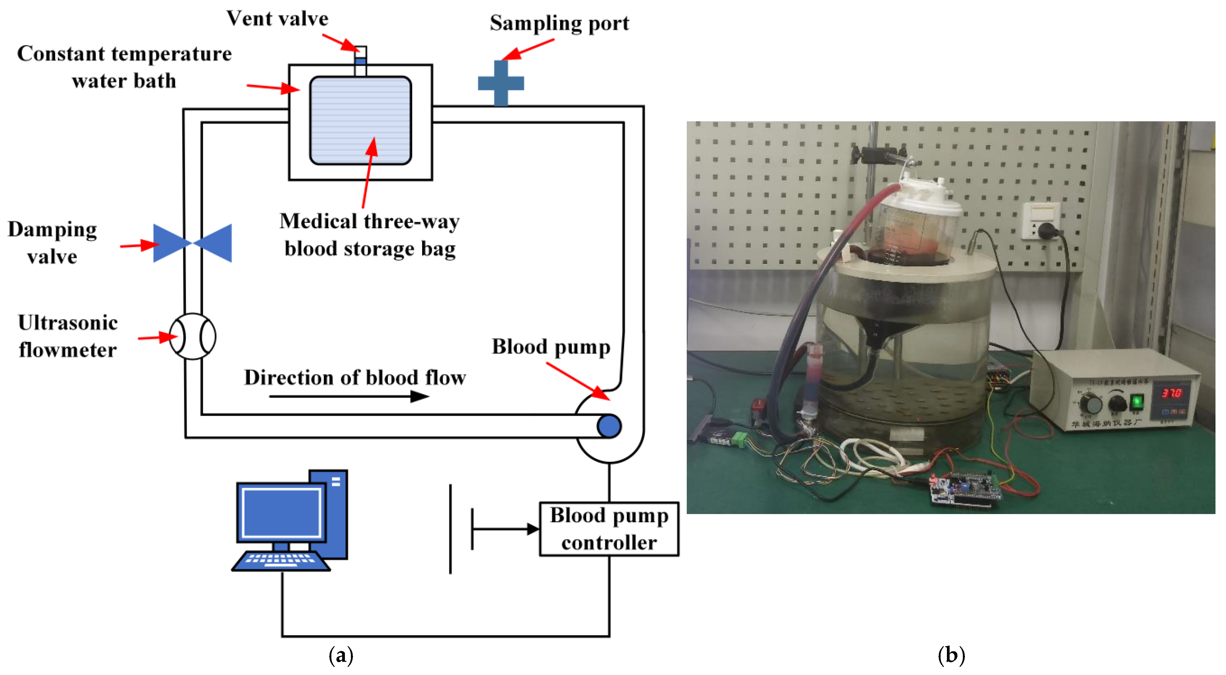 Applsci 15 11710 g005
