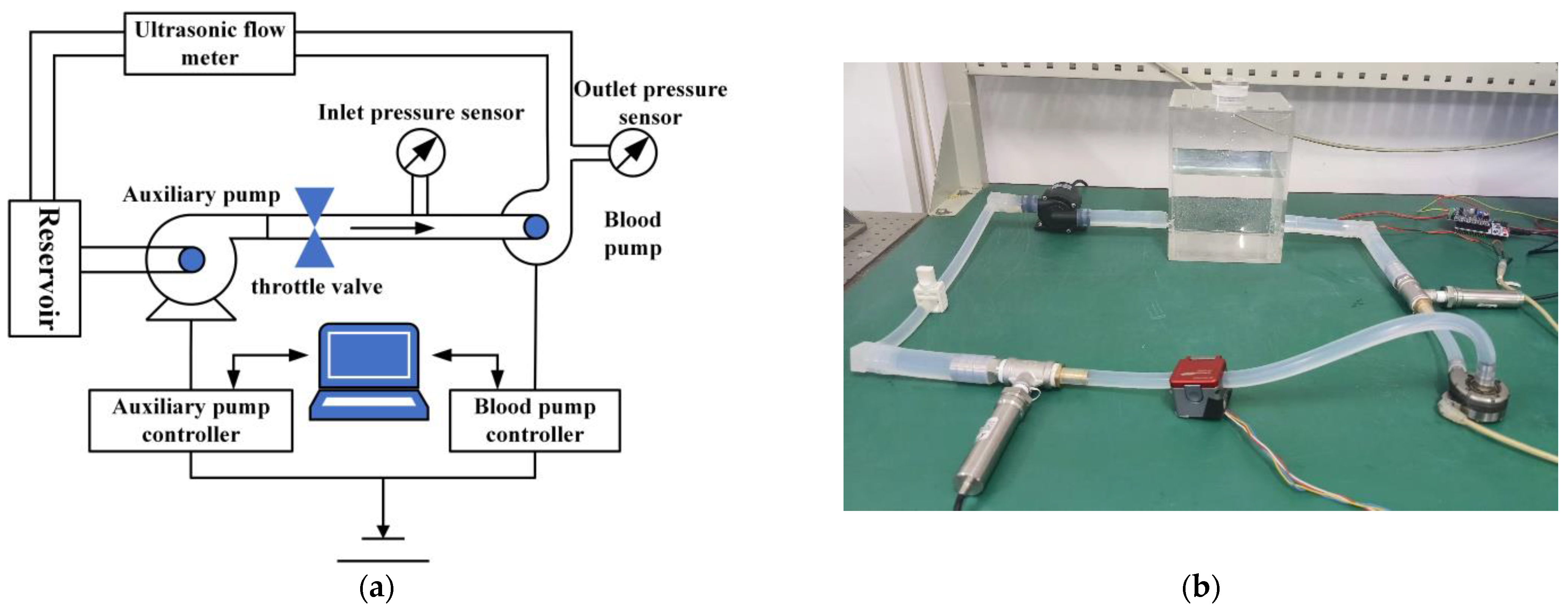 Applsci 15 11710 g019