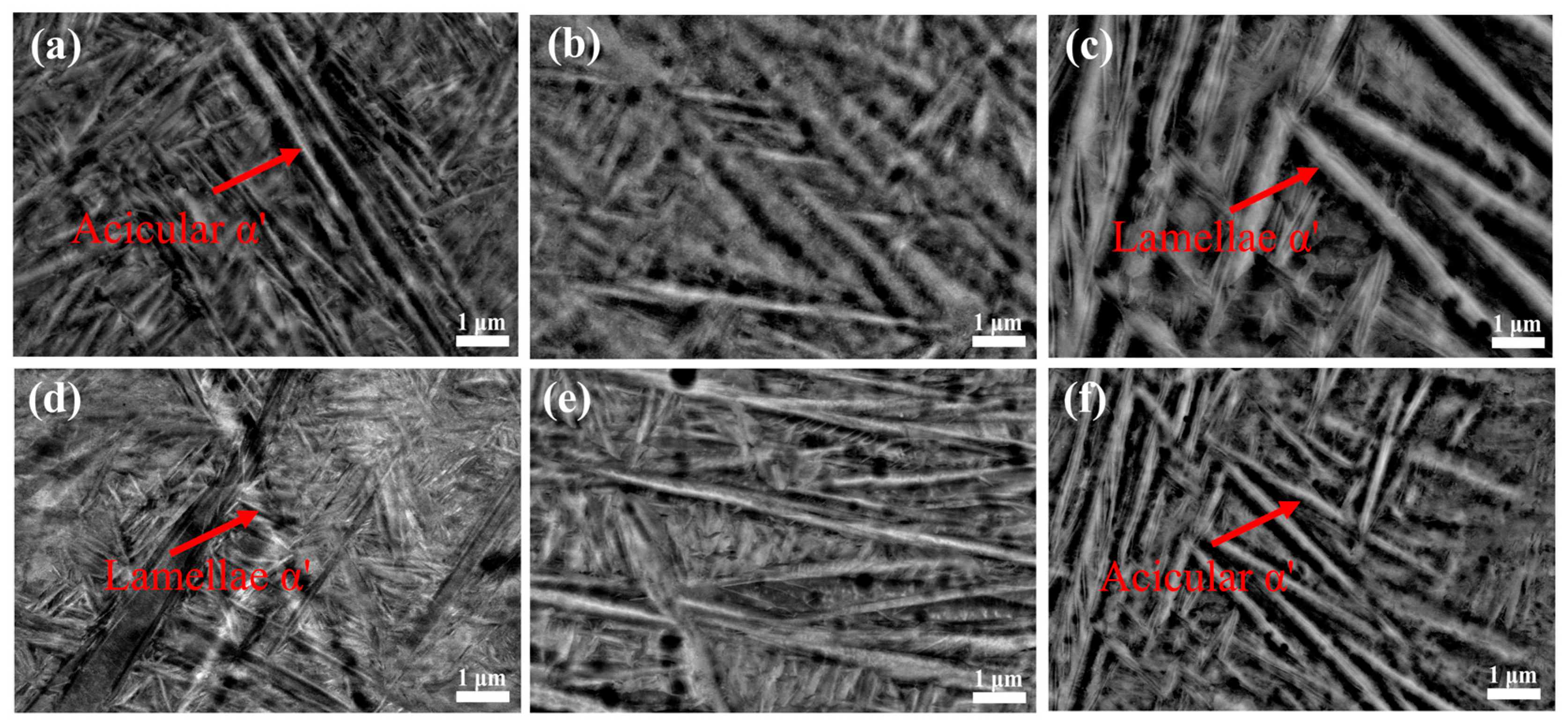 Applsci 15 11717 g014 Applsci 15 11717 g014