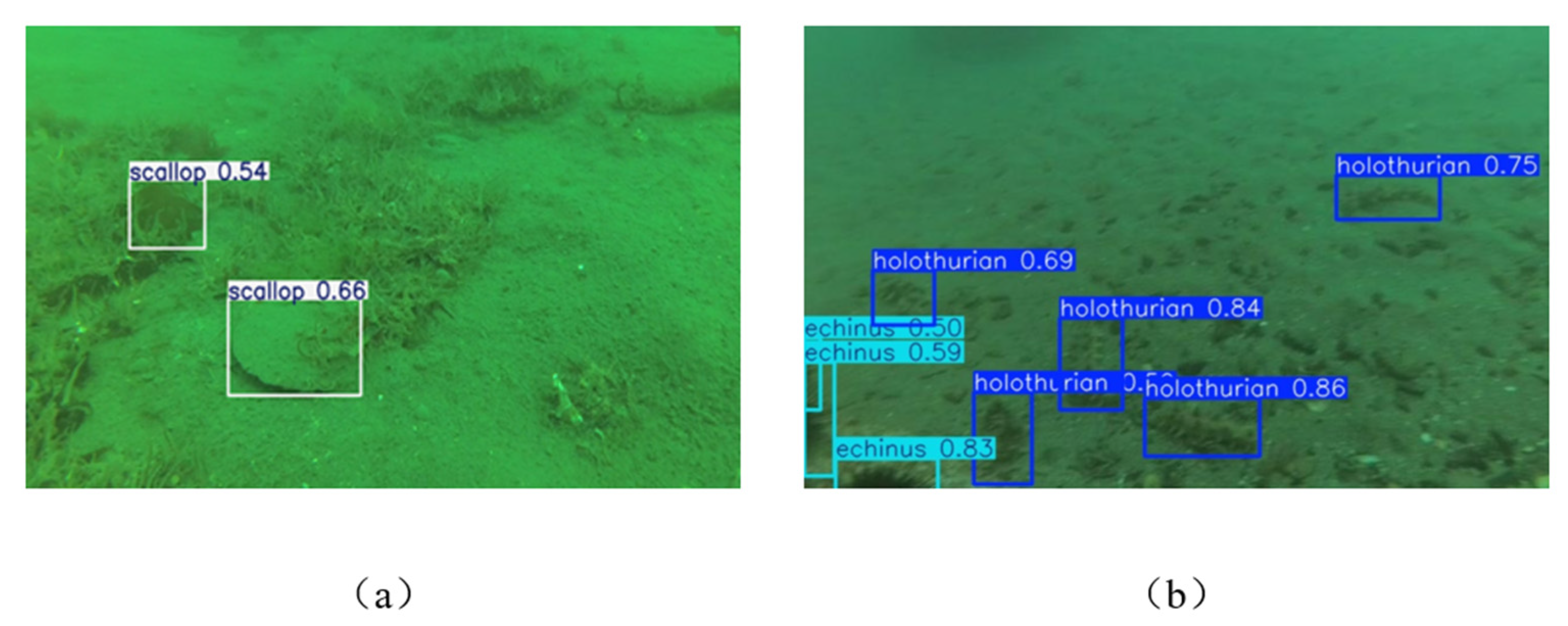 Applsci 15 11724 g013