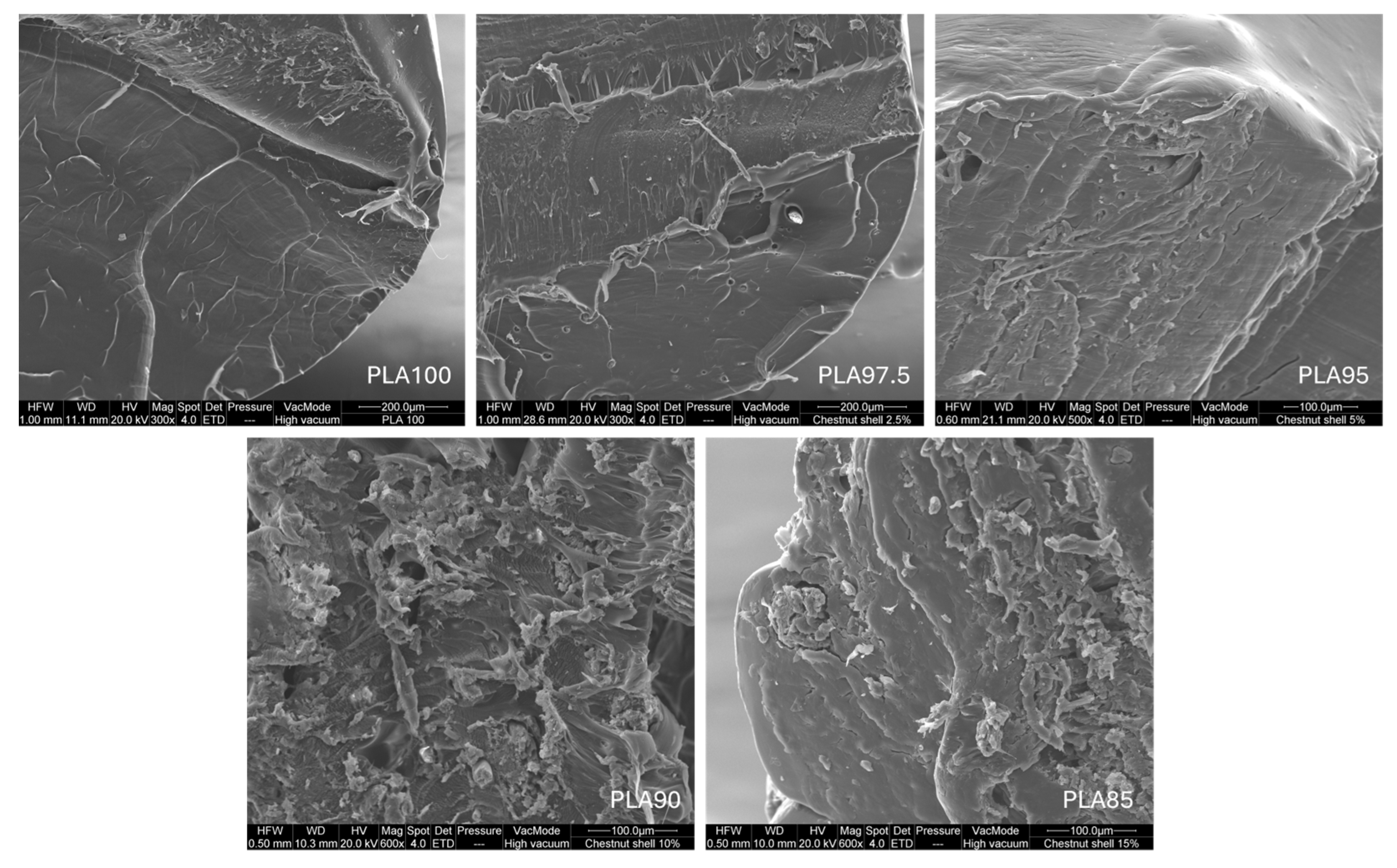 Applsci 15 11743 g007 Applsci 15 11743 g007