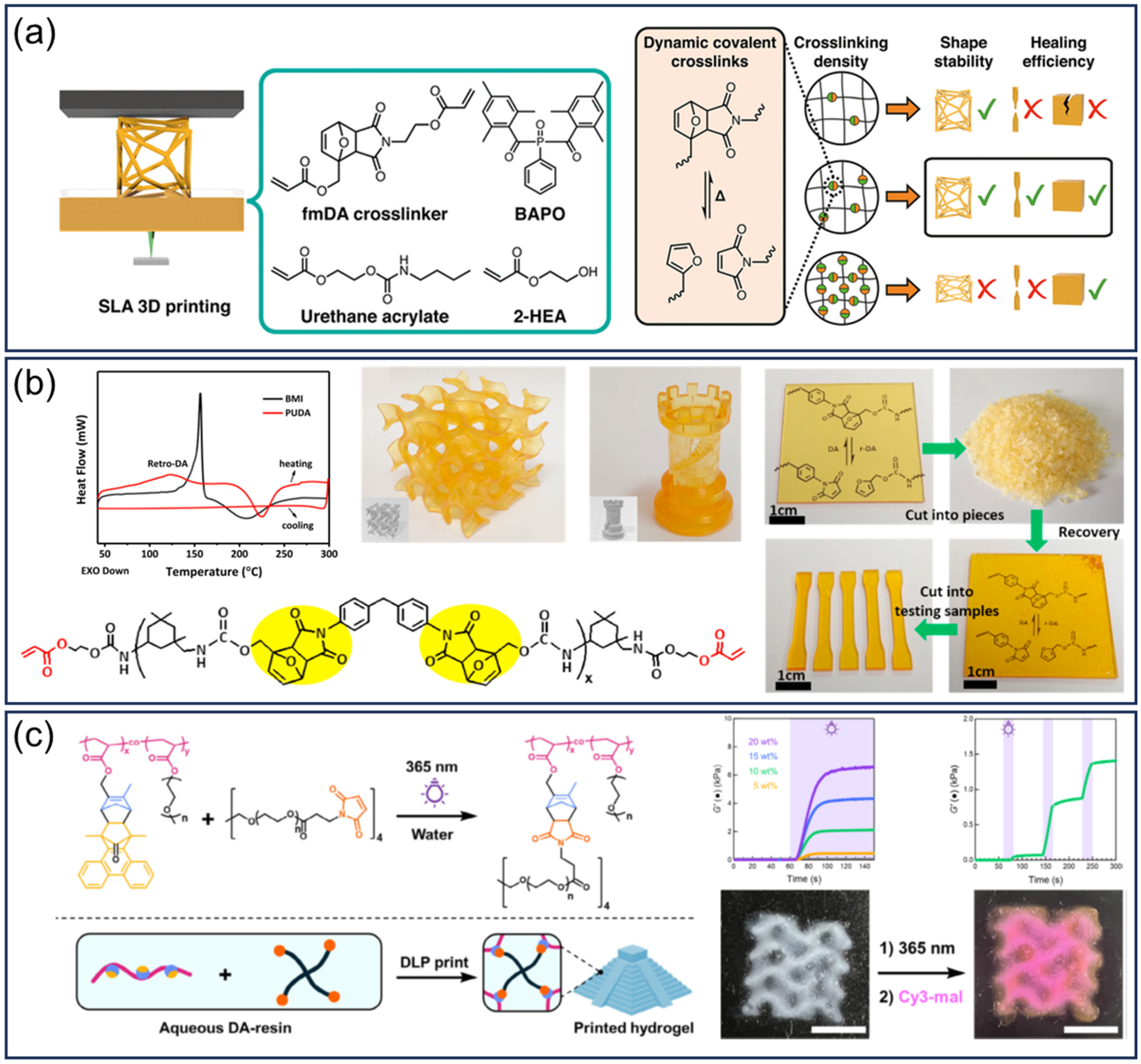 Applsci 15 11755 g007
