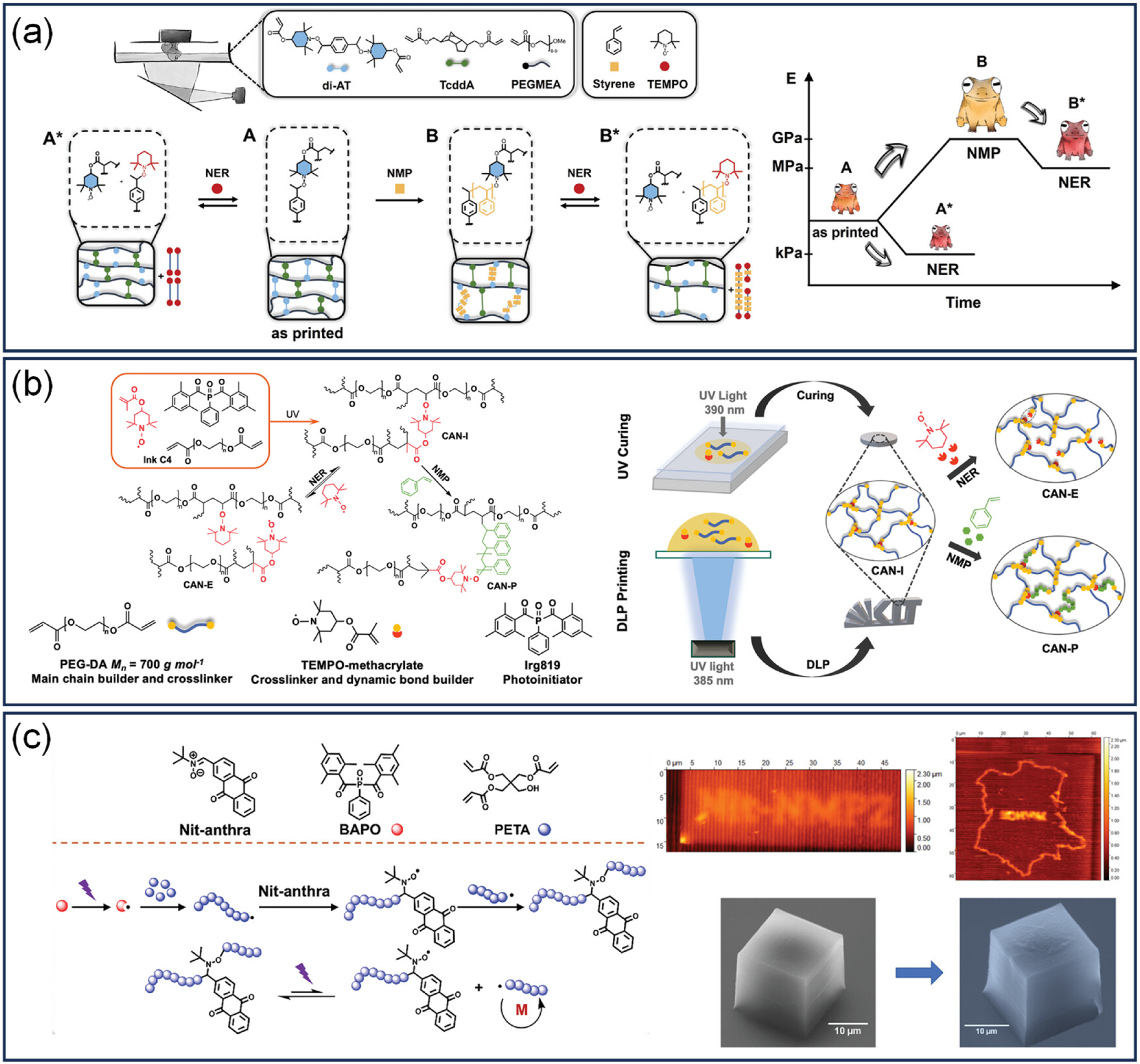 Applsci 15 11755 g009