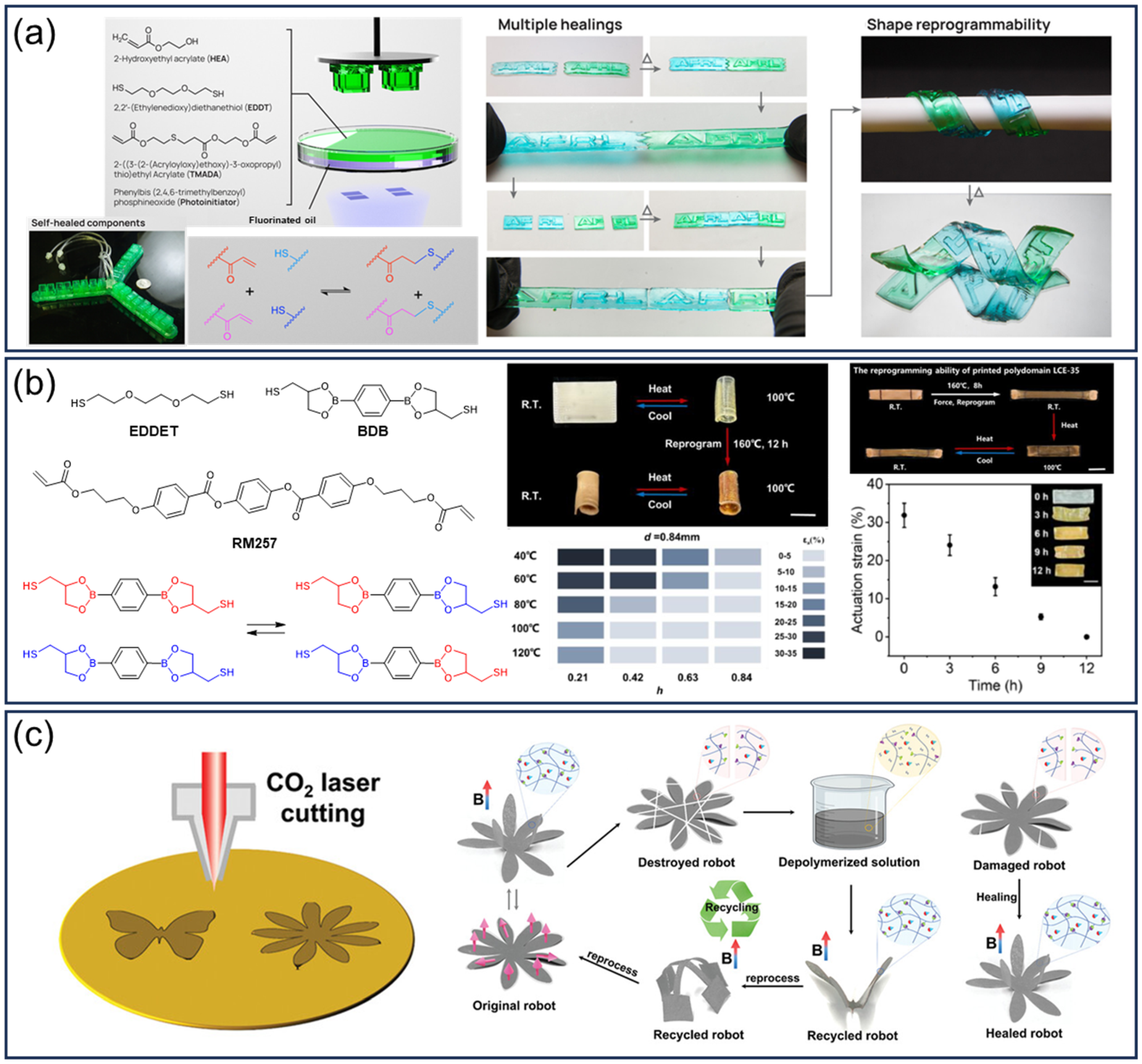 Applsci 15 11755 g017